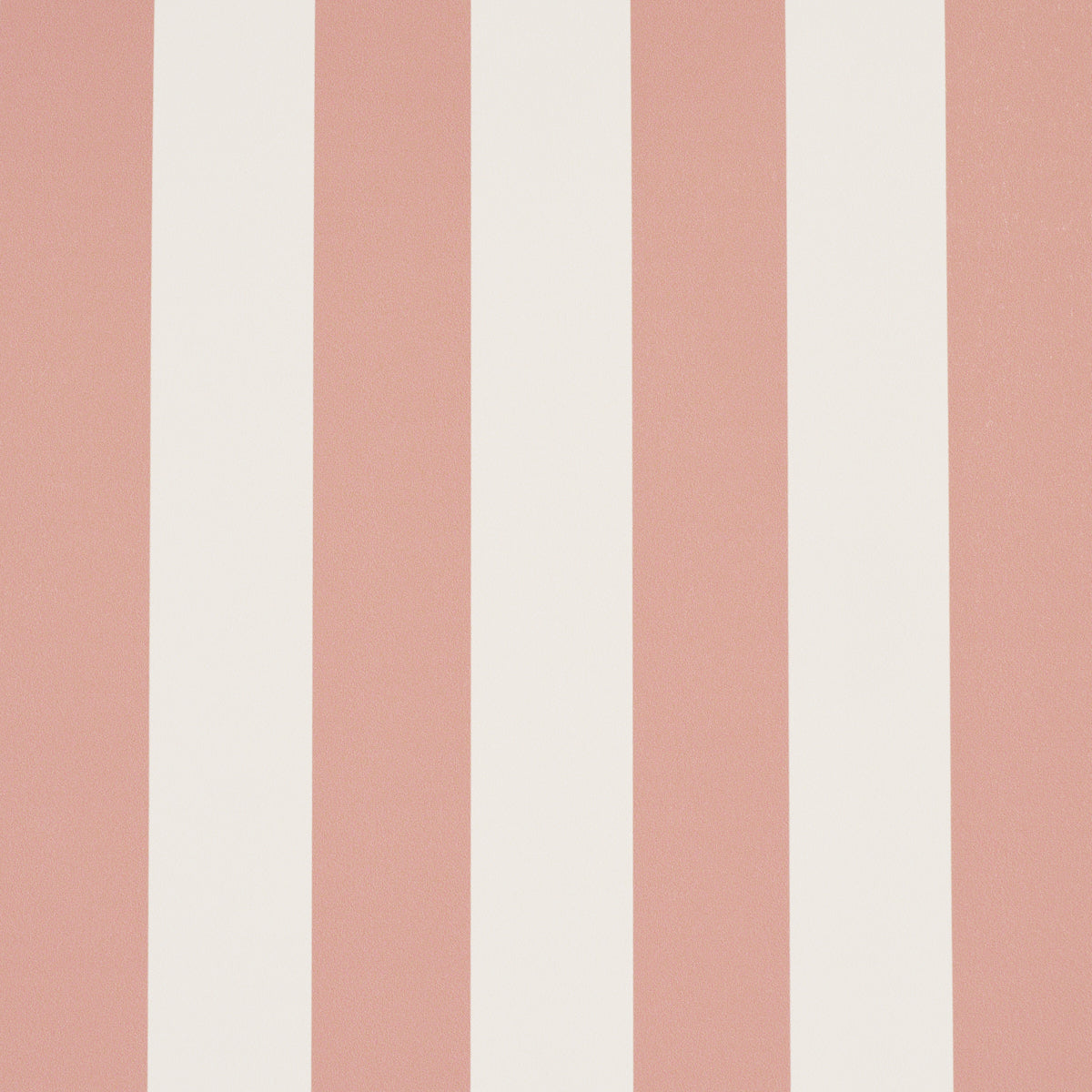 Emma Stripe
