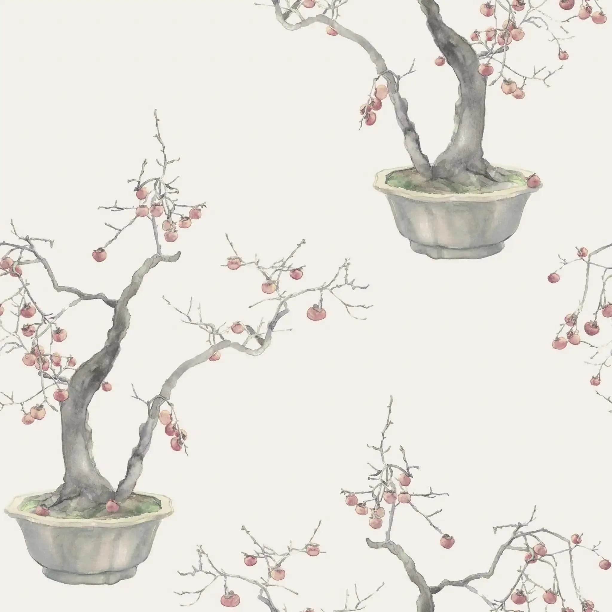 Carta da parati Kaki Persimmon Silver Cole & Son