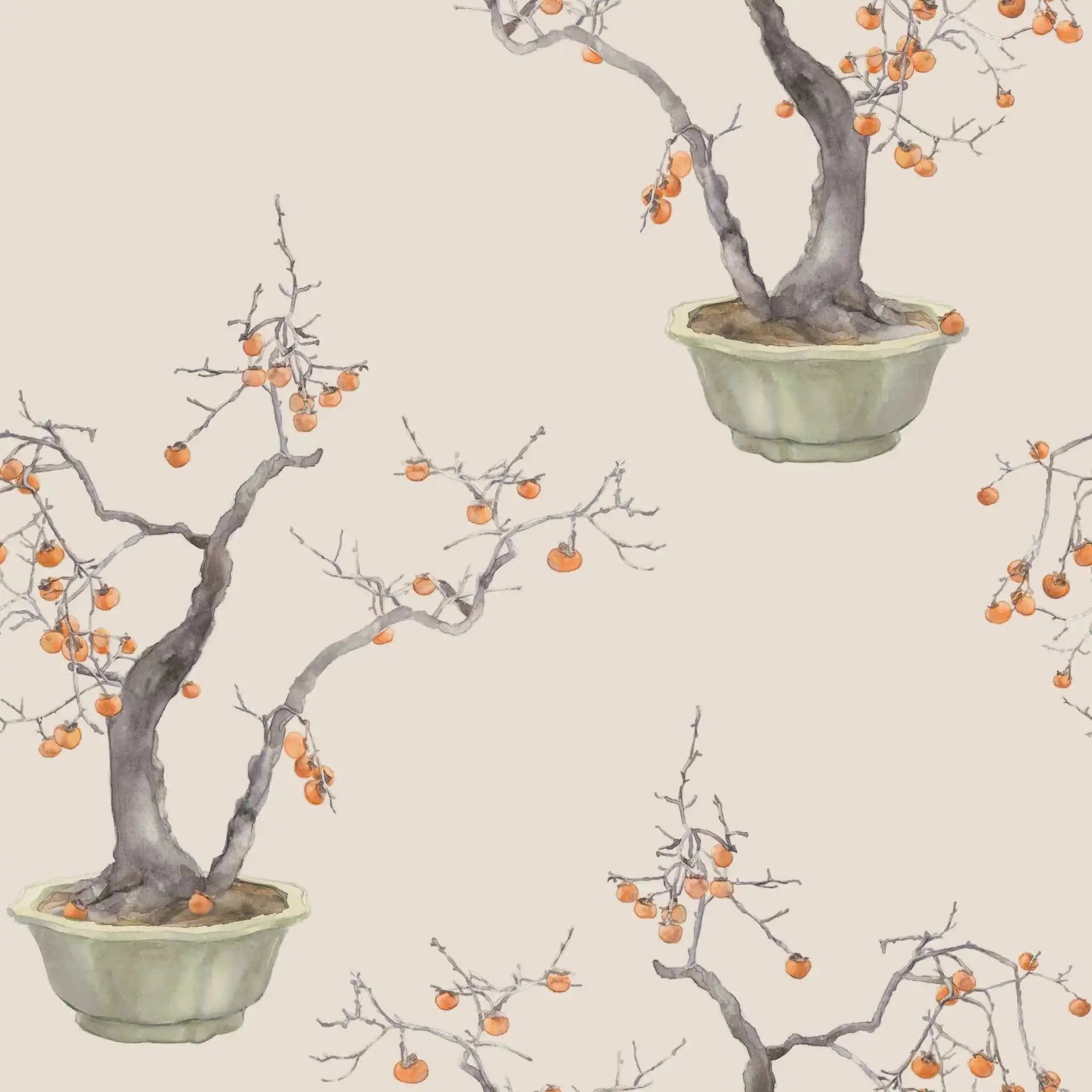Cole & Son Carta da Parati Kaki Persimmon Deco Interni