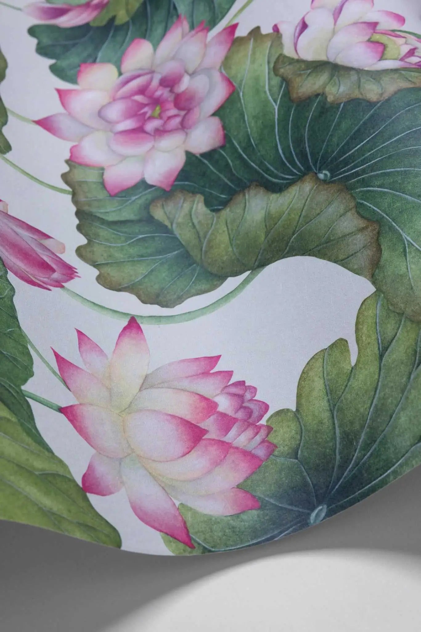 Carta da parati Lily Lotus Pink and White Cole & Son