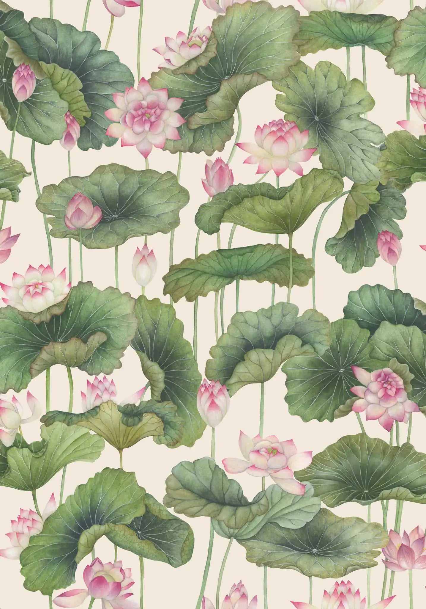 Cole & Son Carta da Parati Lily Lotus Deco Interni
