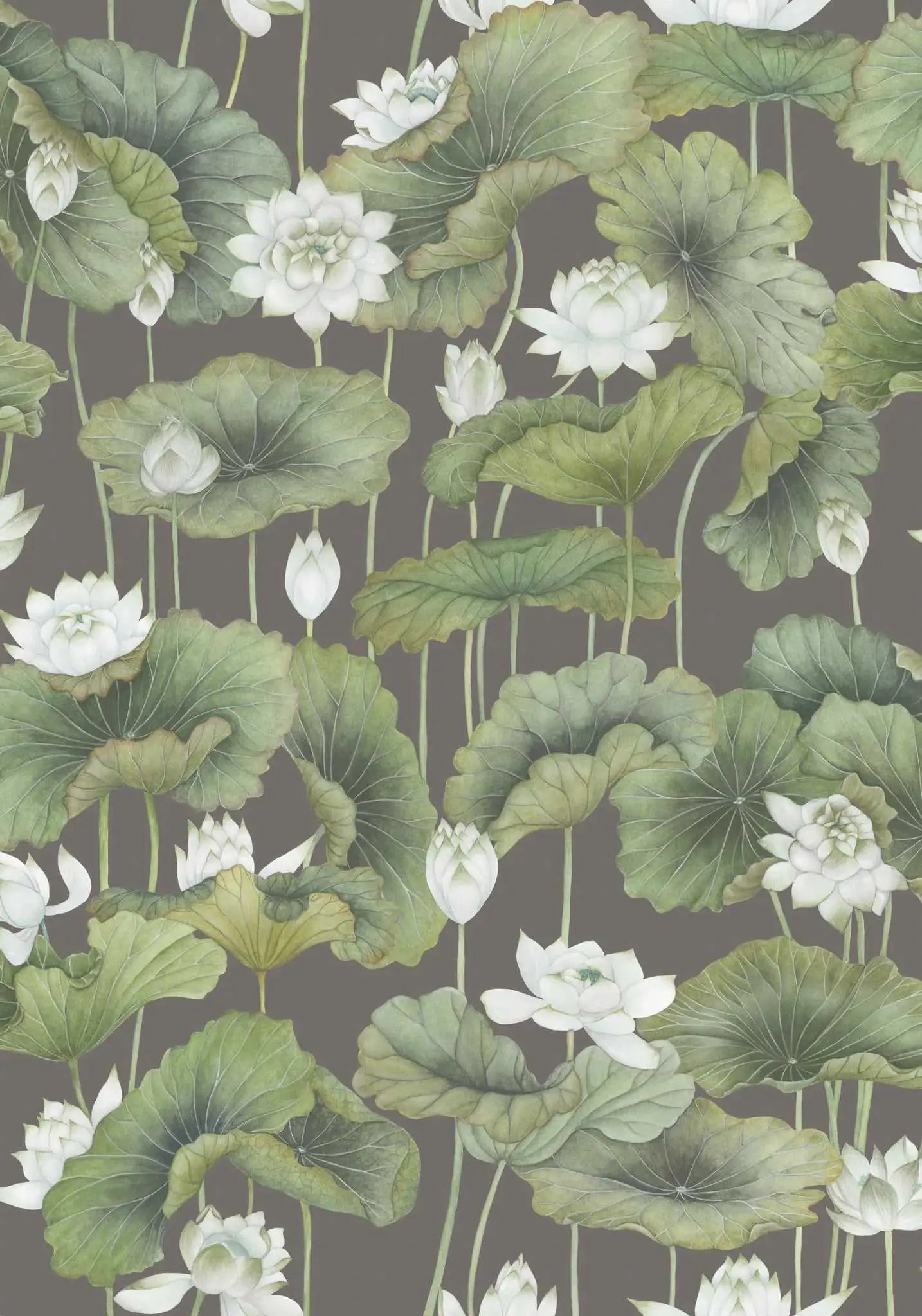 Cole & Son Carta da Parati Lily Lotus Deco Interni
