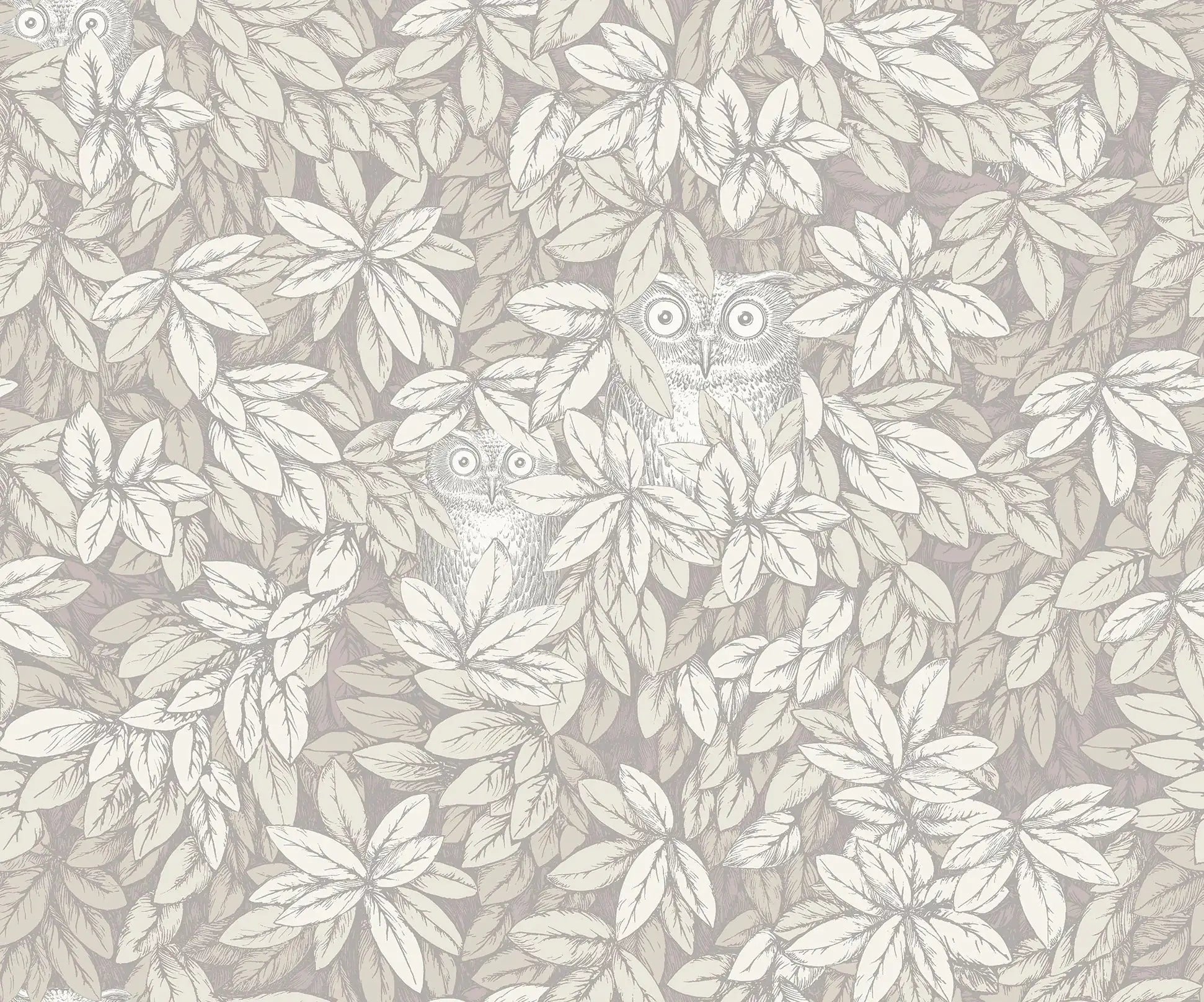 Carta da parati Foglie e Civette White Cole & Son