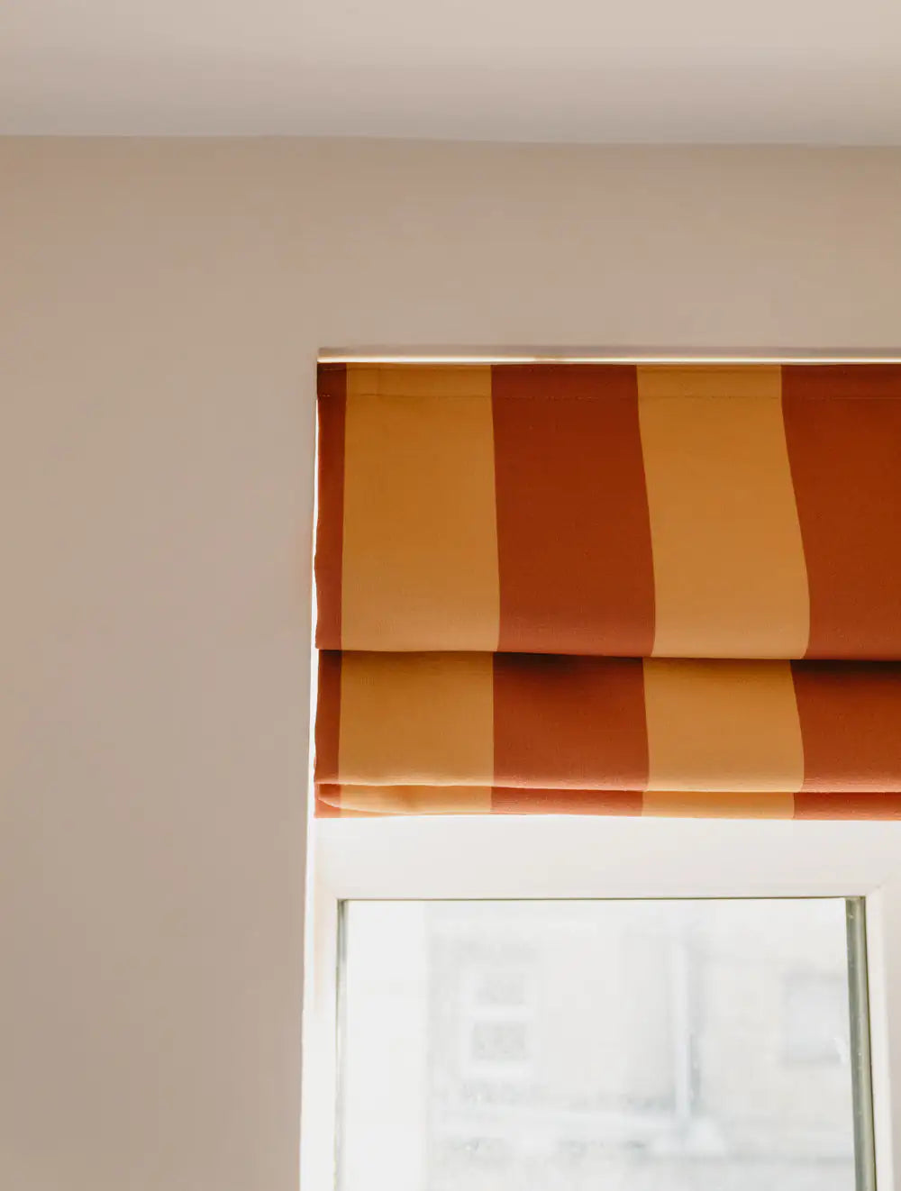 Dijon+Terracotta