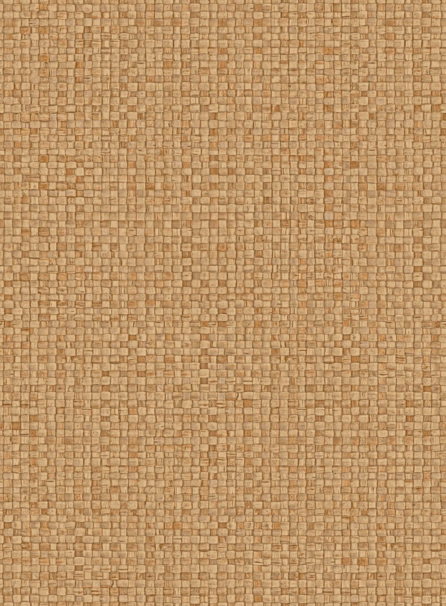 Puna