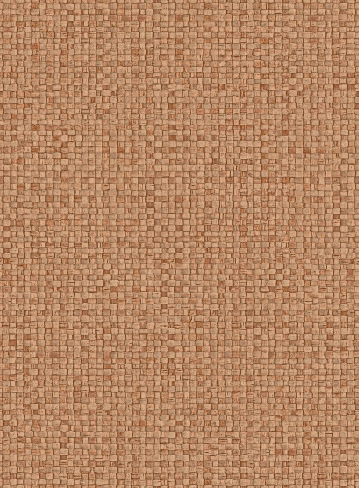 Puna
