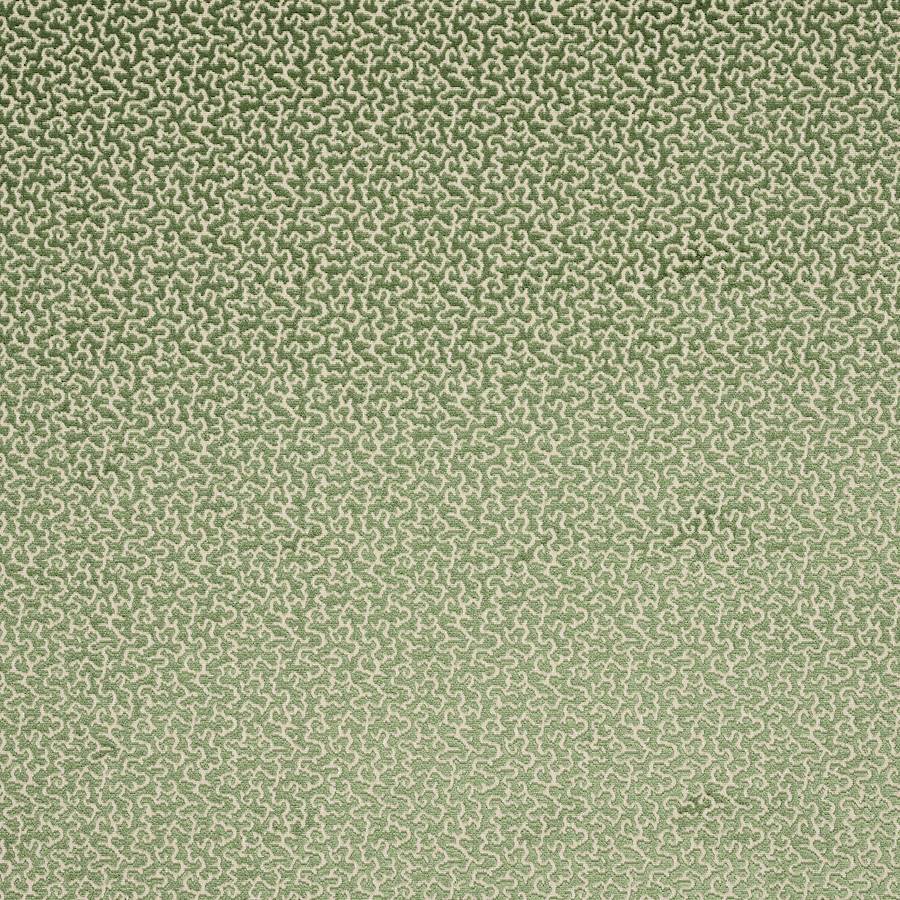 Drago Manuel Canovas Menthe