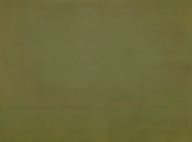 carta da parati in camoscio tinta unita