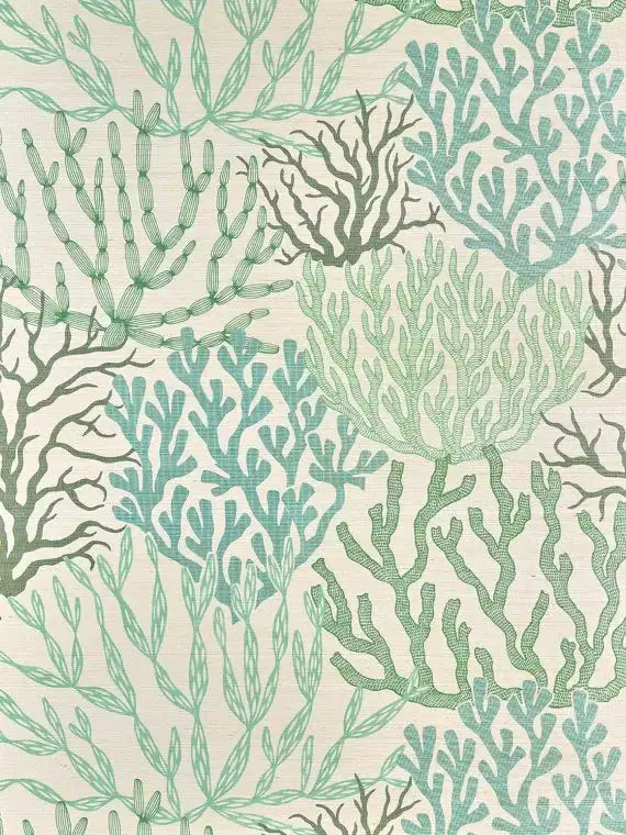 Acropora