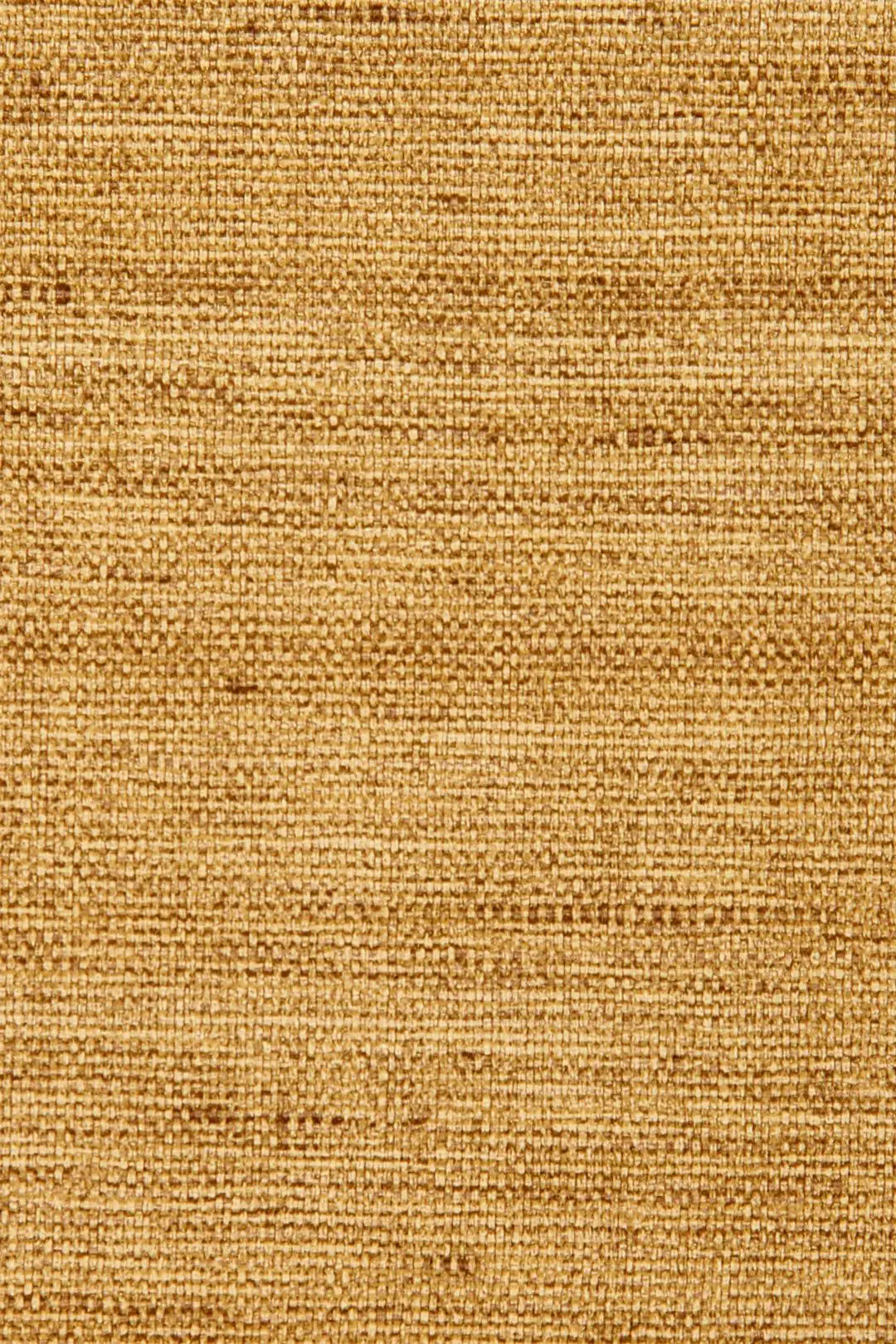 lignes senape