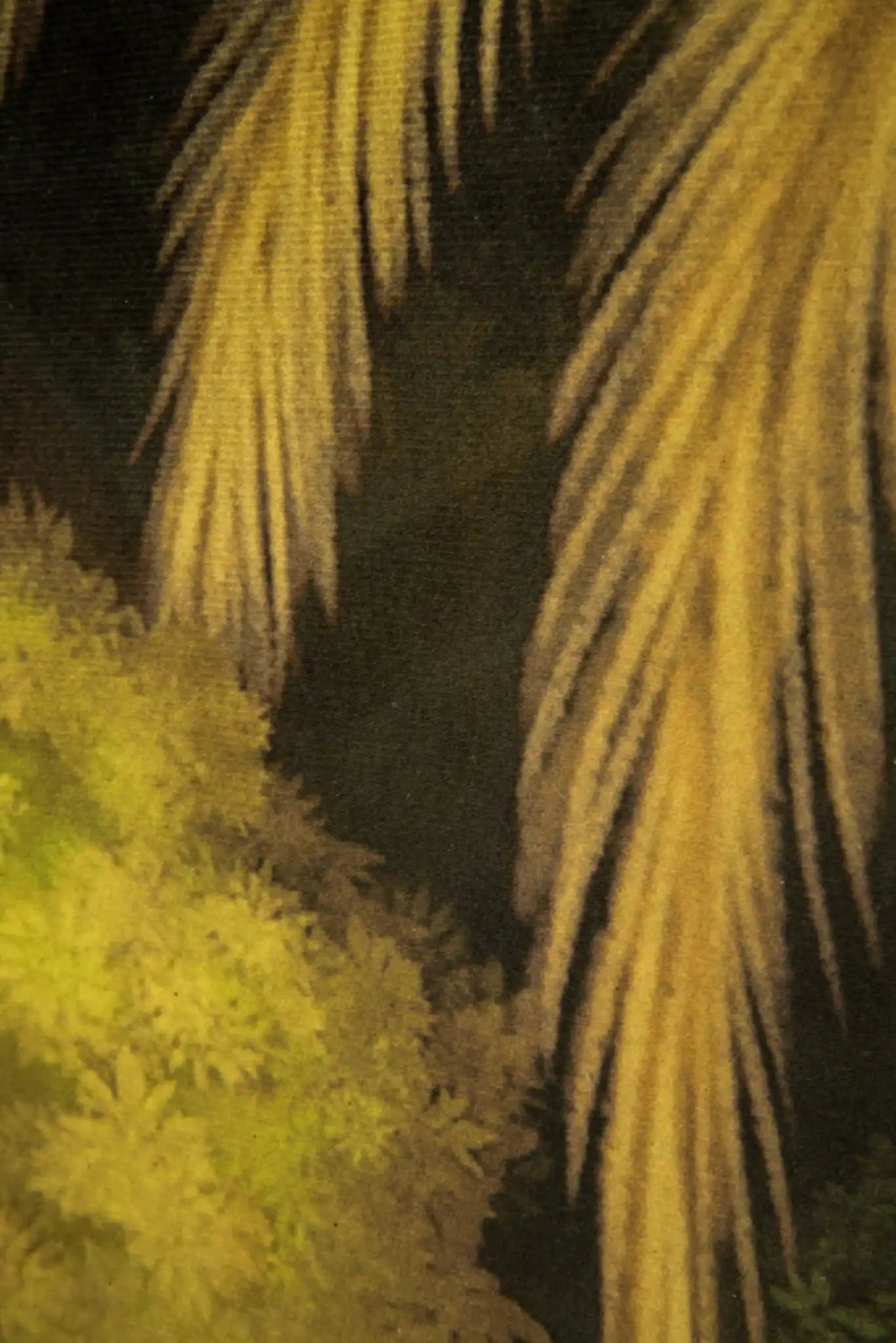 ciel tropical