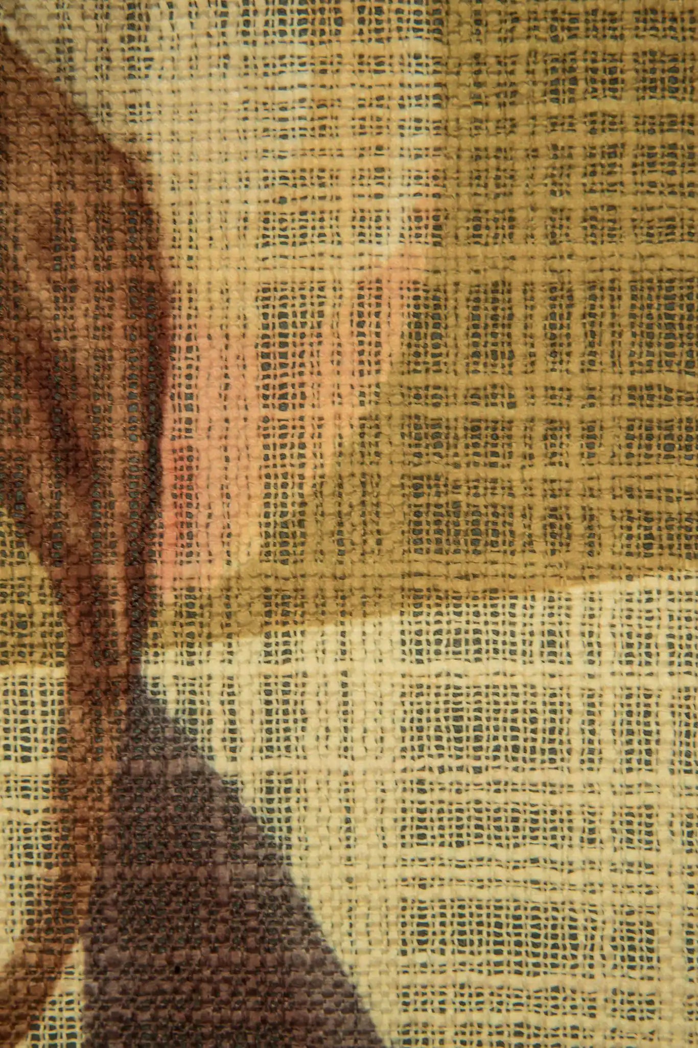 les mystères de madagascar