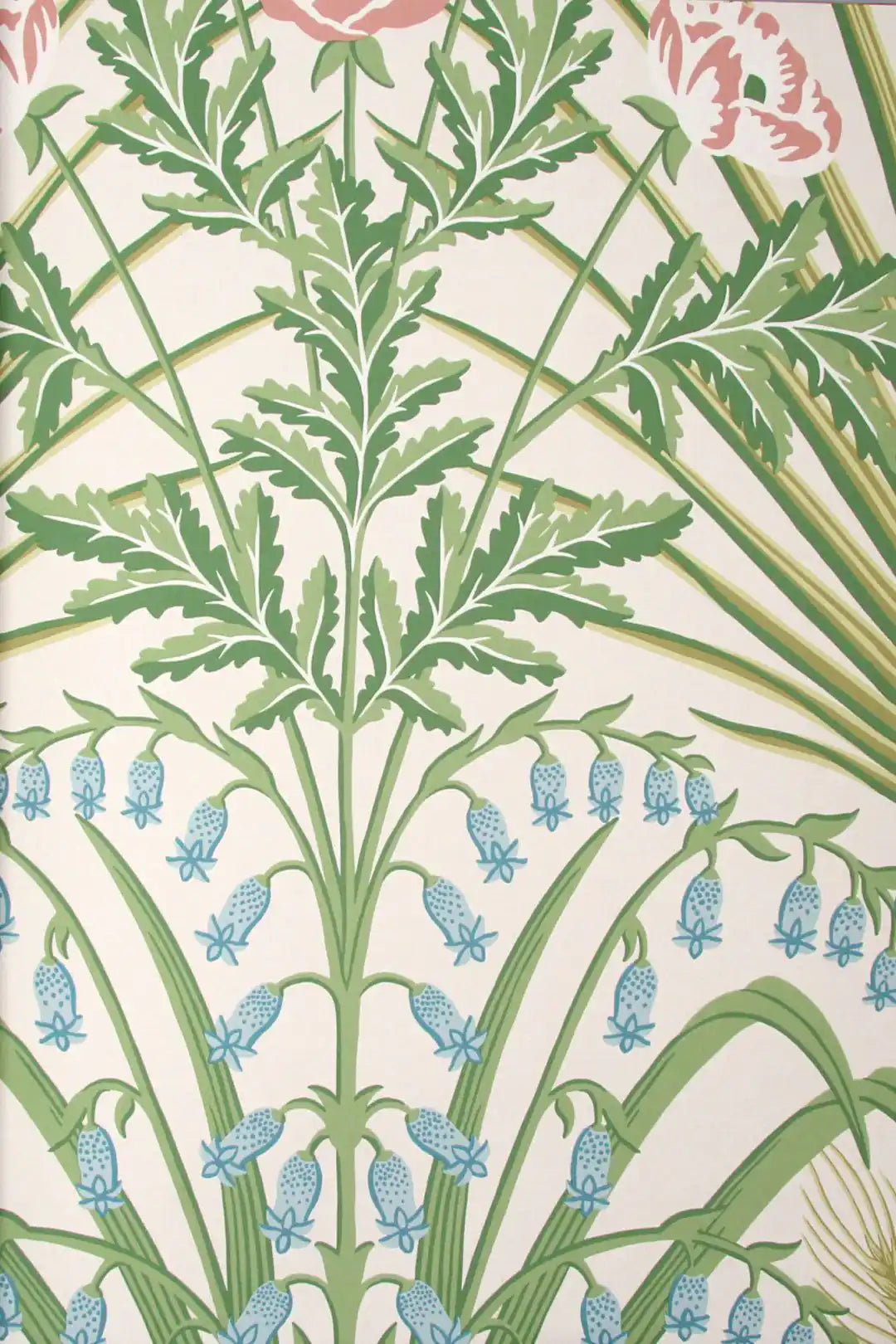 Carta da parati Bluebell~Hyacinthoides non-scripta Avorio Cole & Son