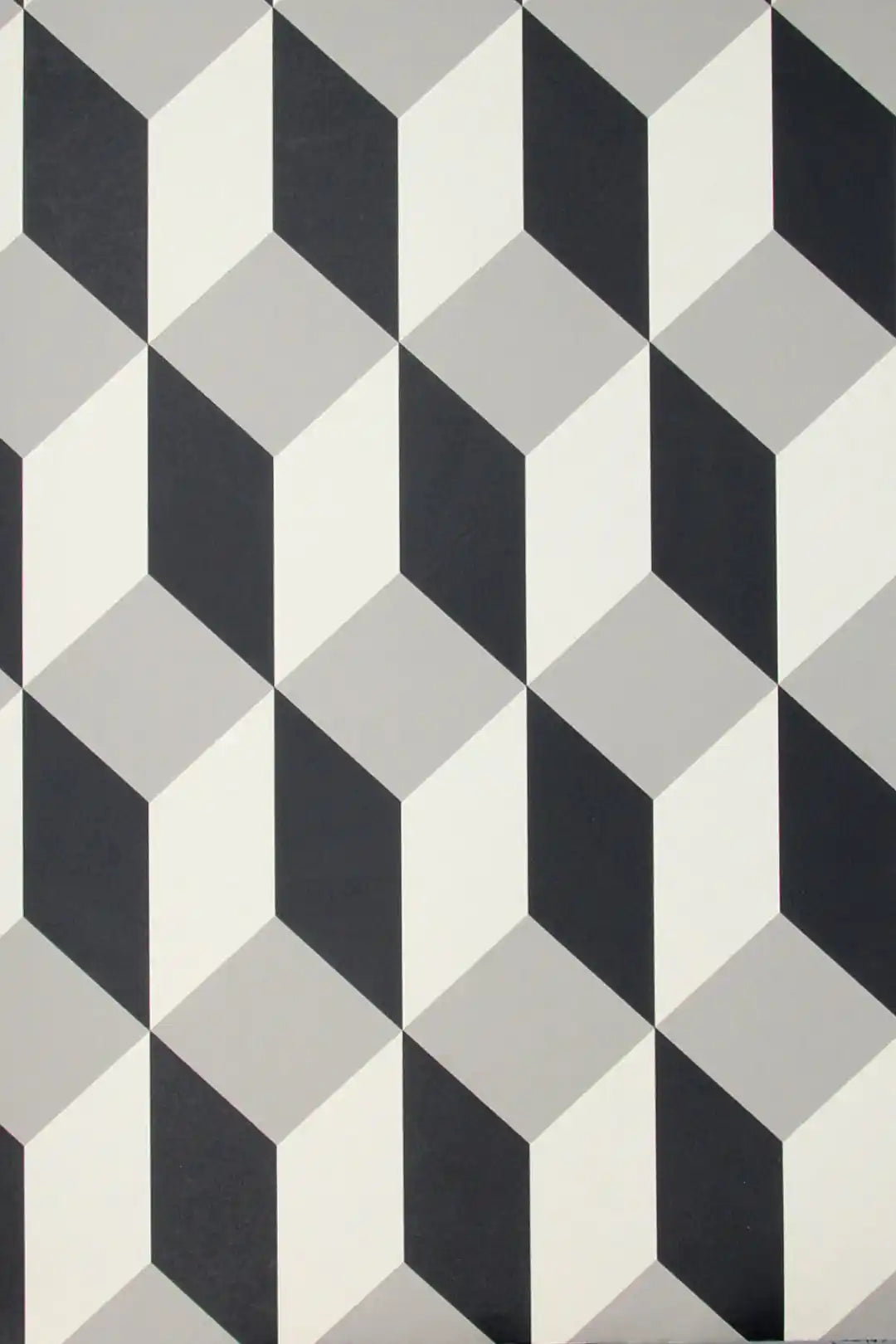 Carta da parati Delano Bianco & Nero Cole & Son