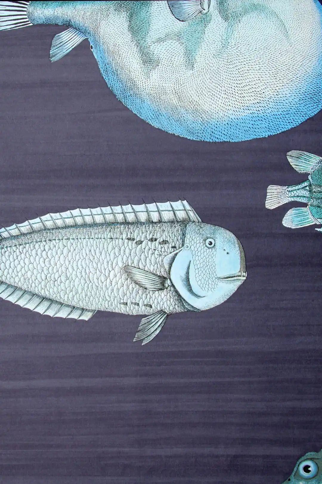 Carta da parati Fornasetti - Acquario Blu Cole & Son