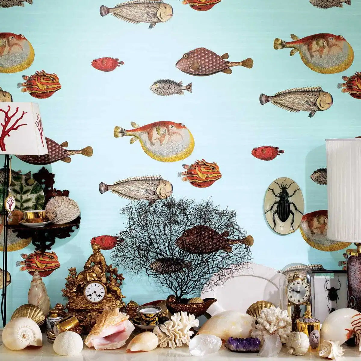 fornasetti - acquario