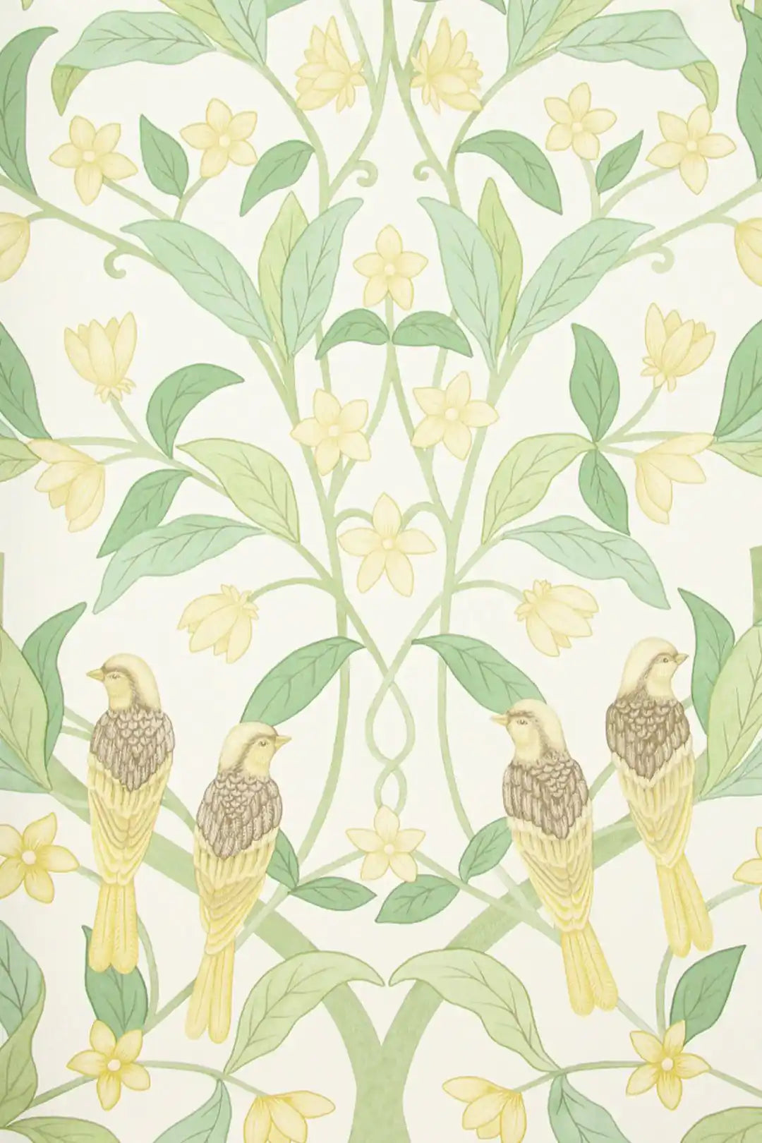 Carta da parati Jasmine & Serin Symphony Giallo Cole & Son