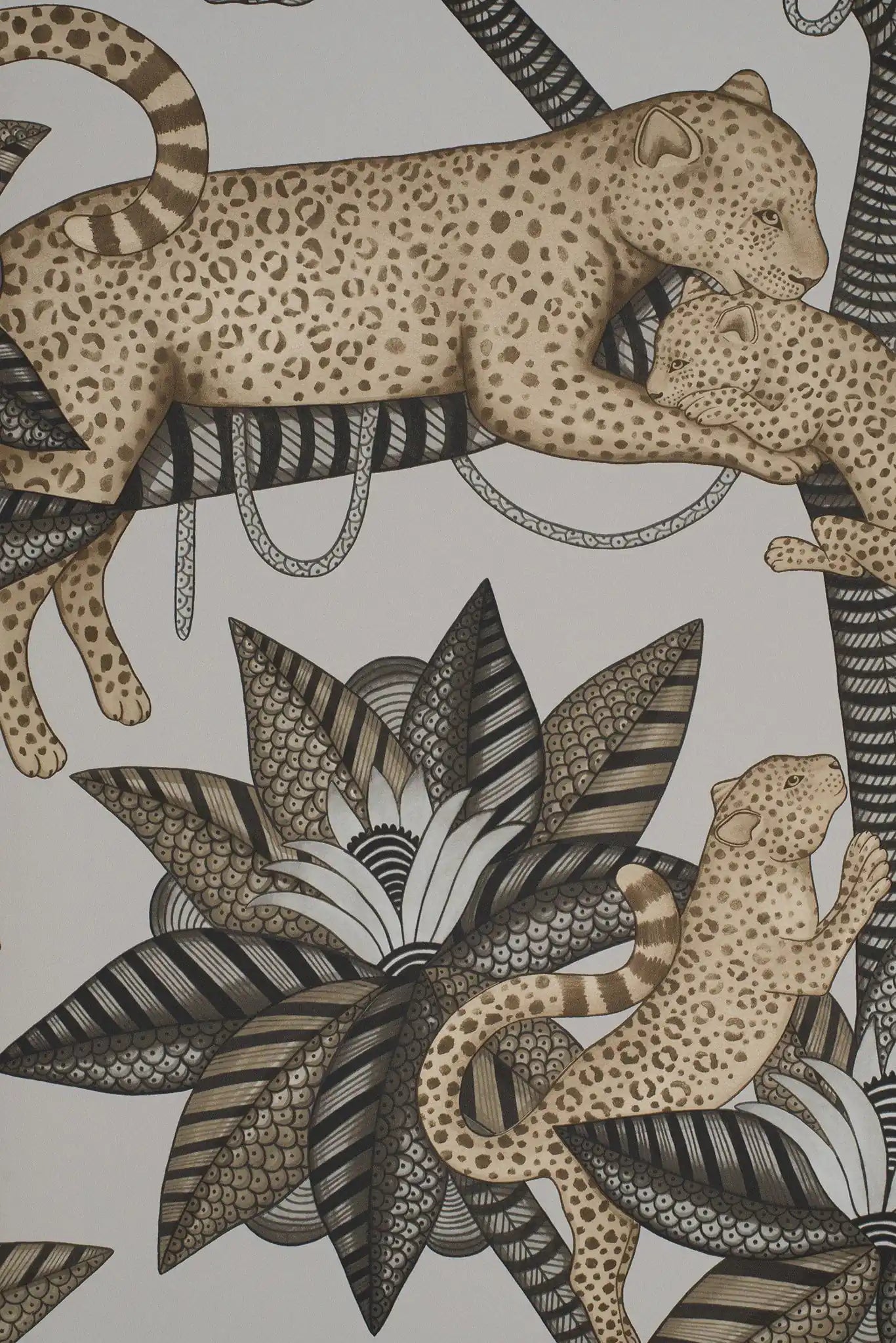 Carta da parati Satara Grigio Cole & Son