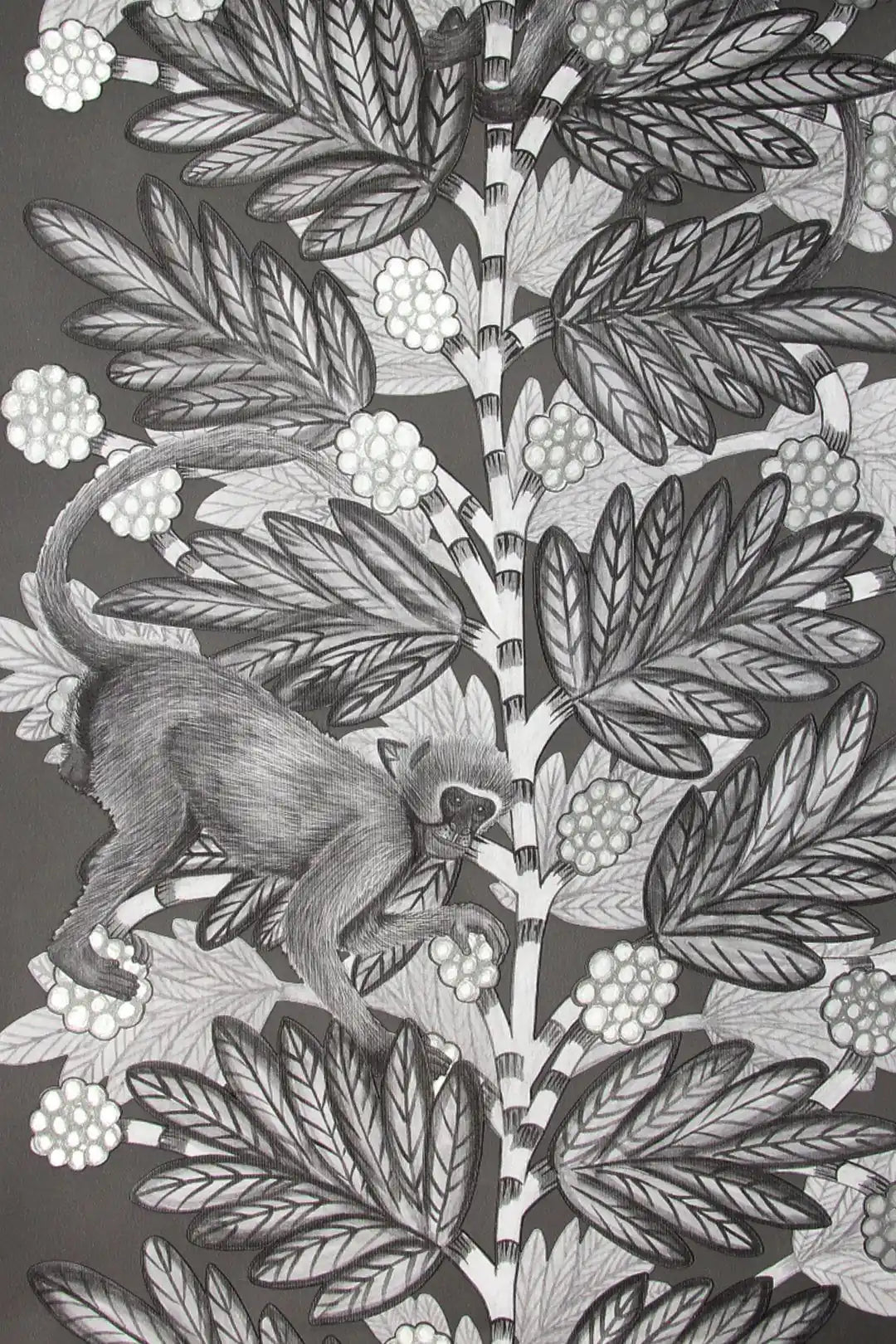 Carta da parati Acacia Notte Cole & Son