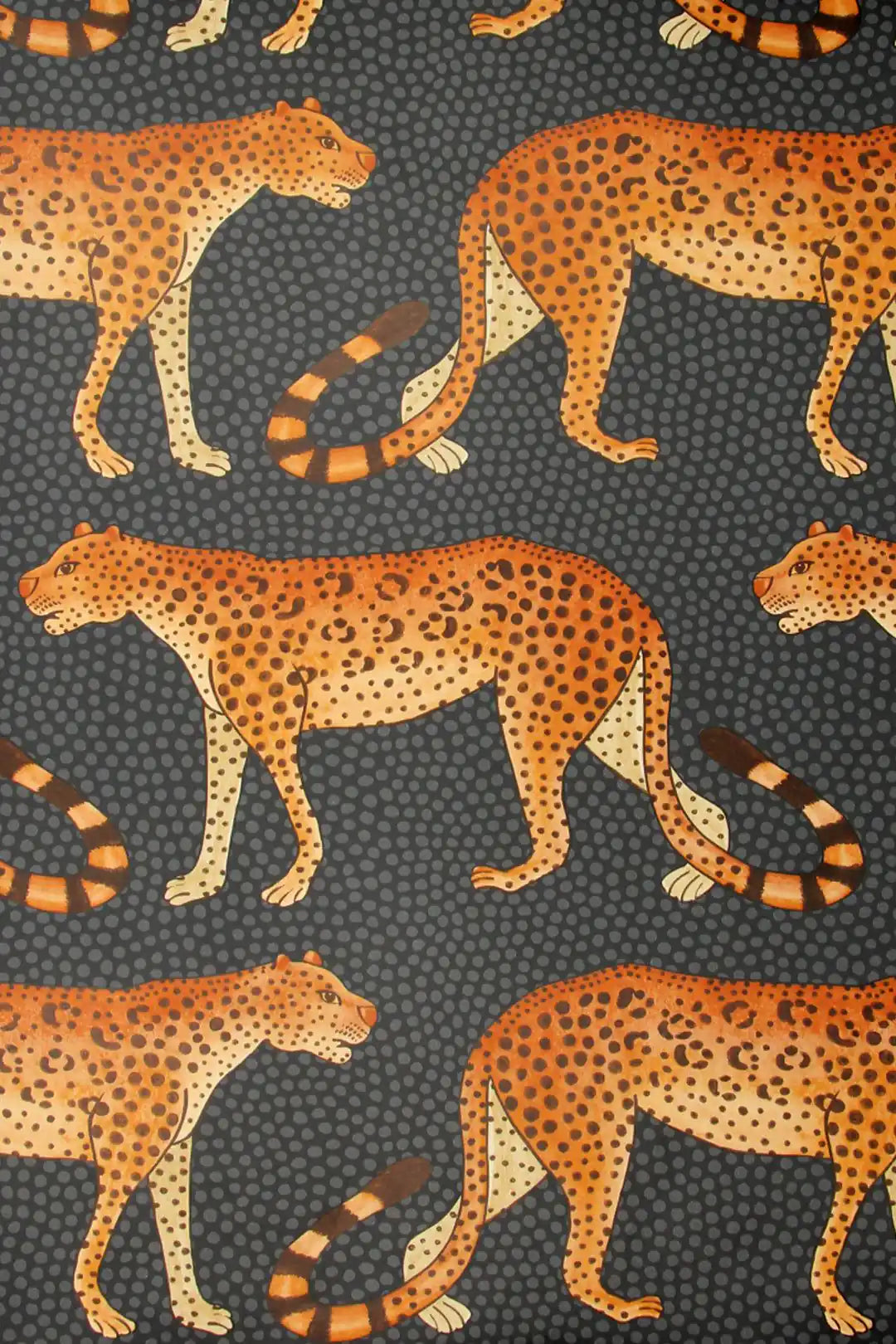 Carta da parati Leopard Walk Original Cole & Son