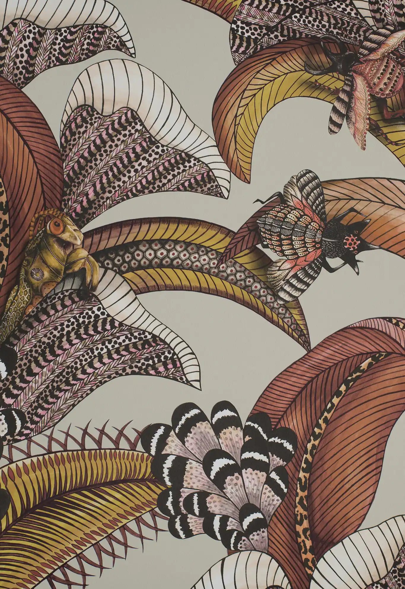 Carta da parati Hoopoe Leaves Rosa/Terra Cole & Son