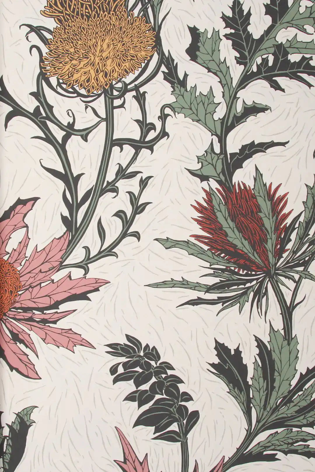 Carta da parati Thistle~Carduus Rosso Cole & Son