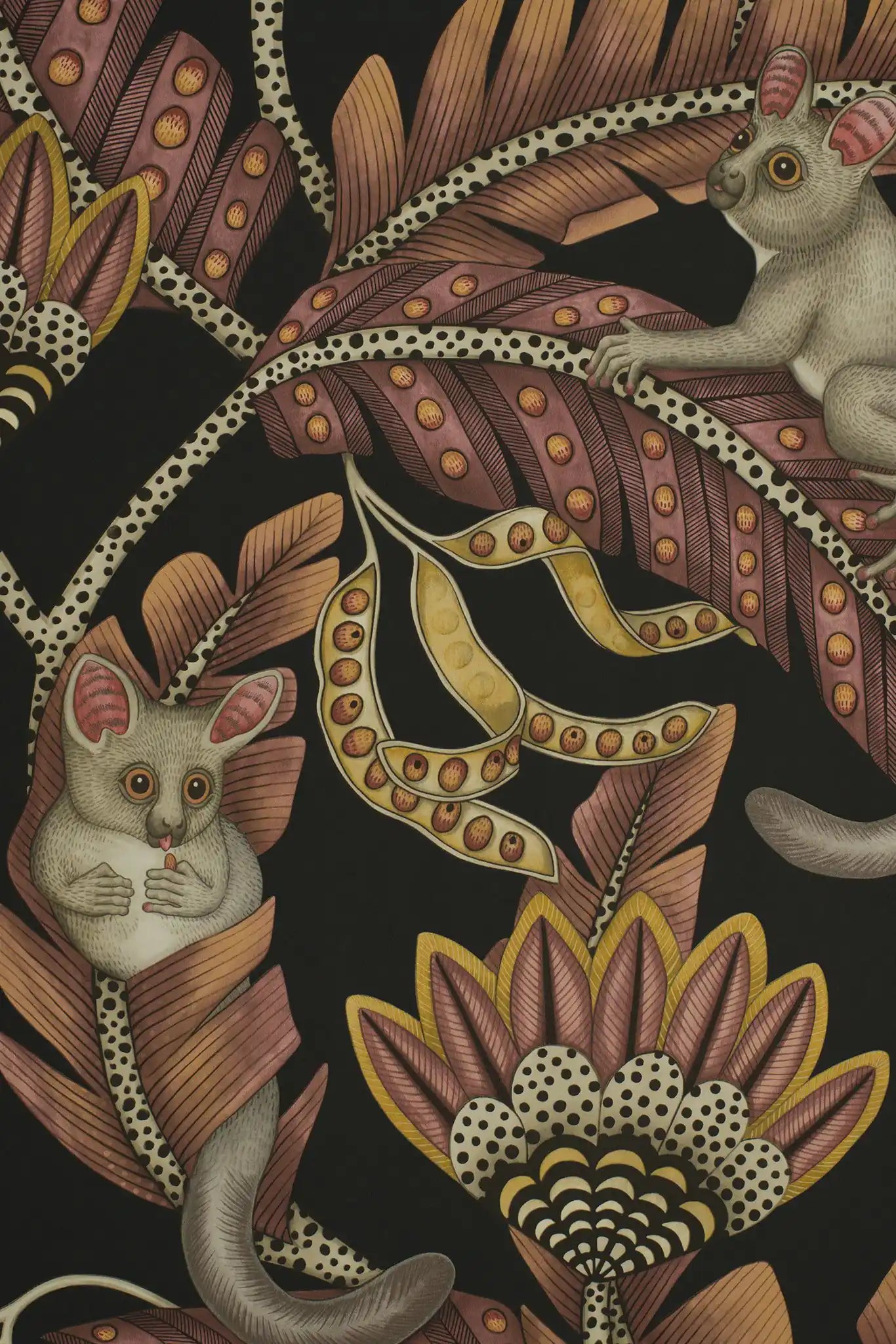 Carta da parati Bush baby Scarlet Cole & Son
