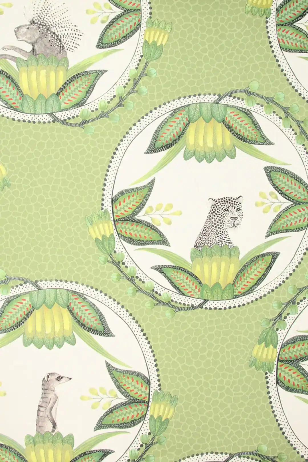 Carta da parati Ardmore Cameos Verde Cole & Son