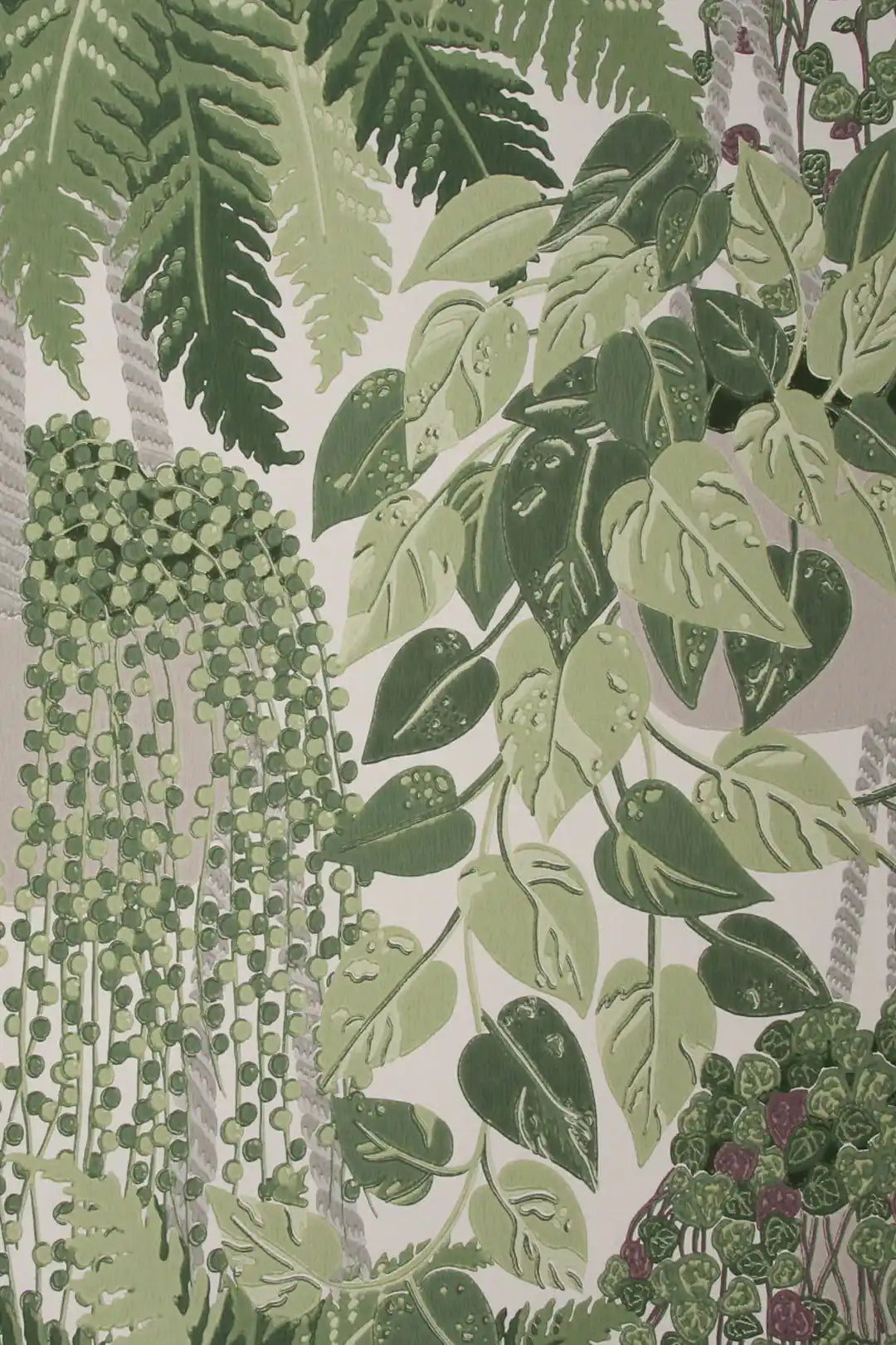 Carta da parati Fern~Dryopteris Verde Cole & Son