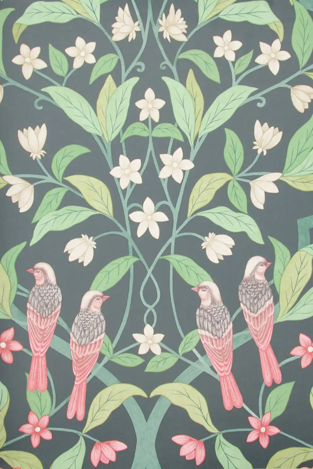 Carta da parati Jasmine & Serin Symphony Verde Cole & Son