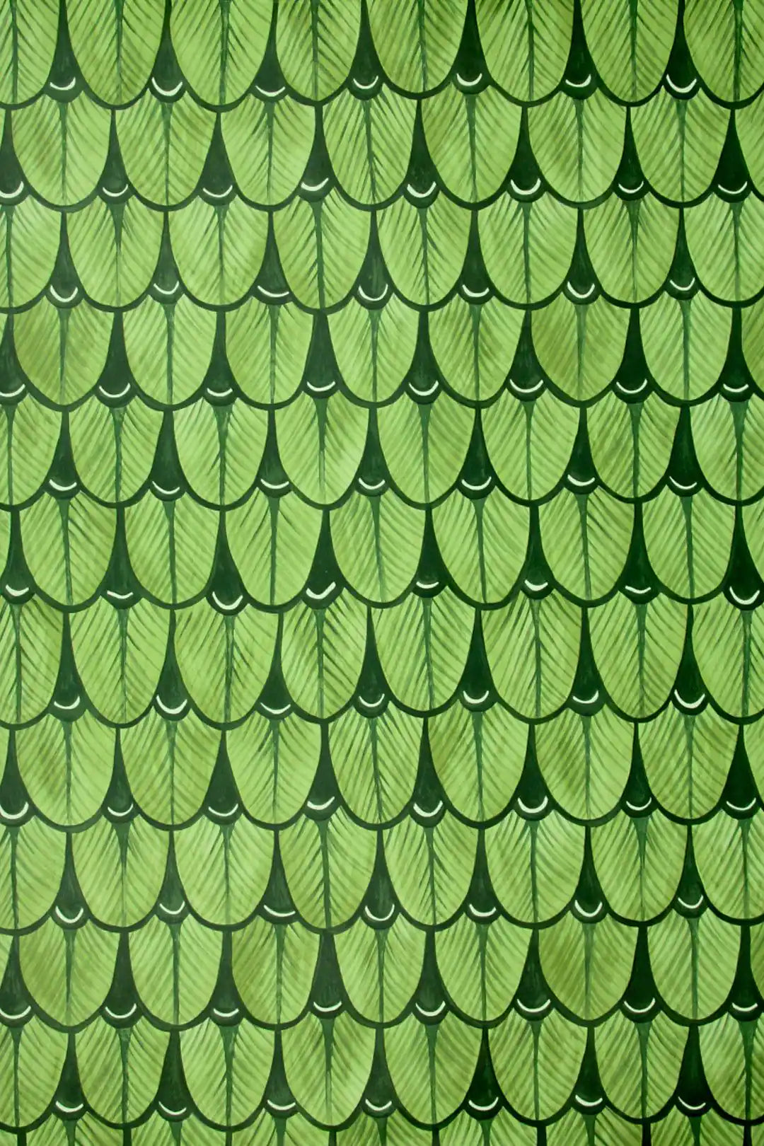 Carta da parati Narina Verde Cole & Son