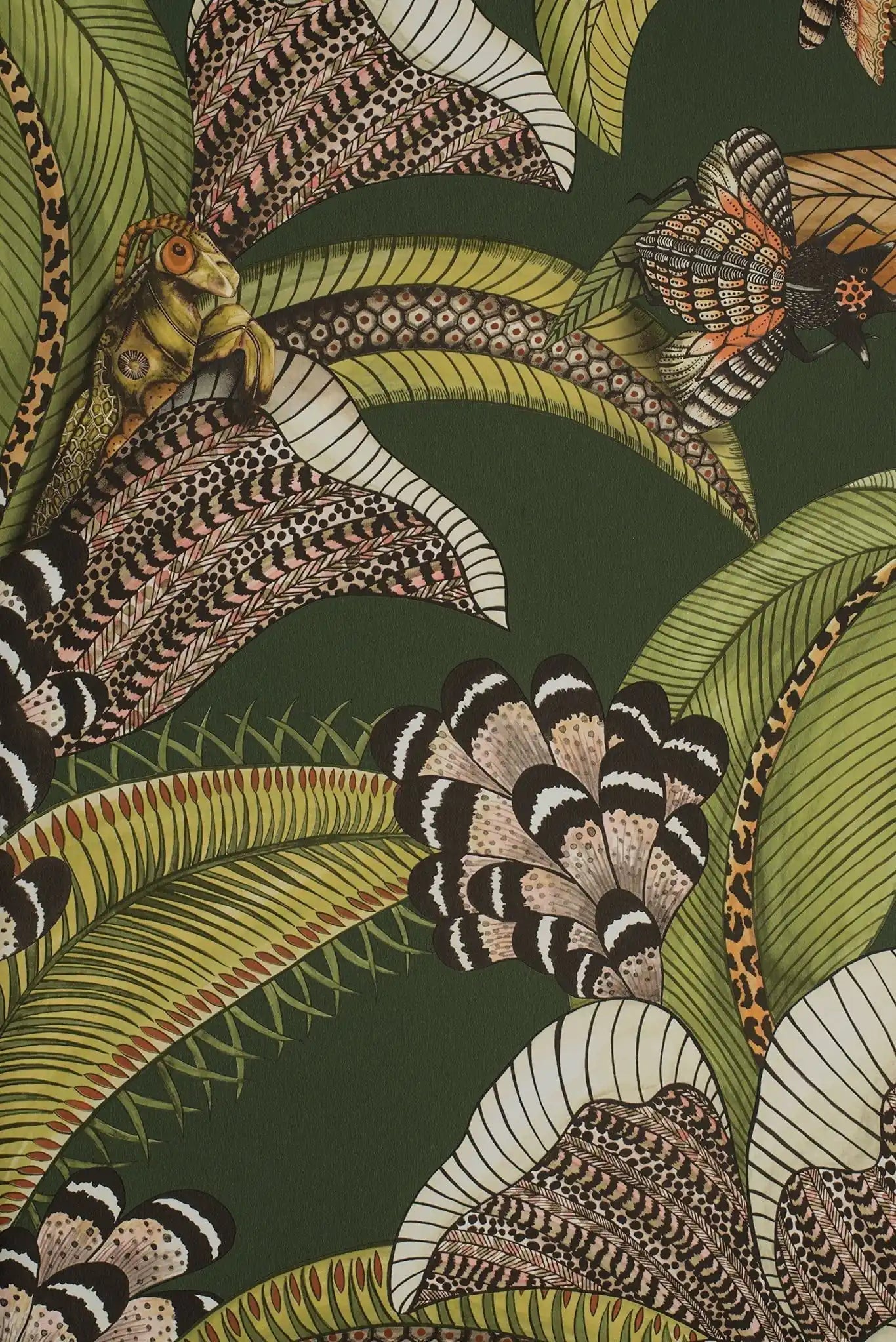 Carta da parati Hoopoe Leaves Verde/Terra Cole & Son