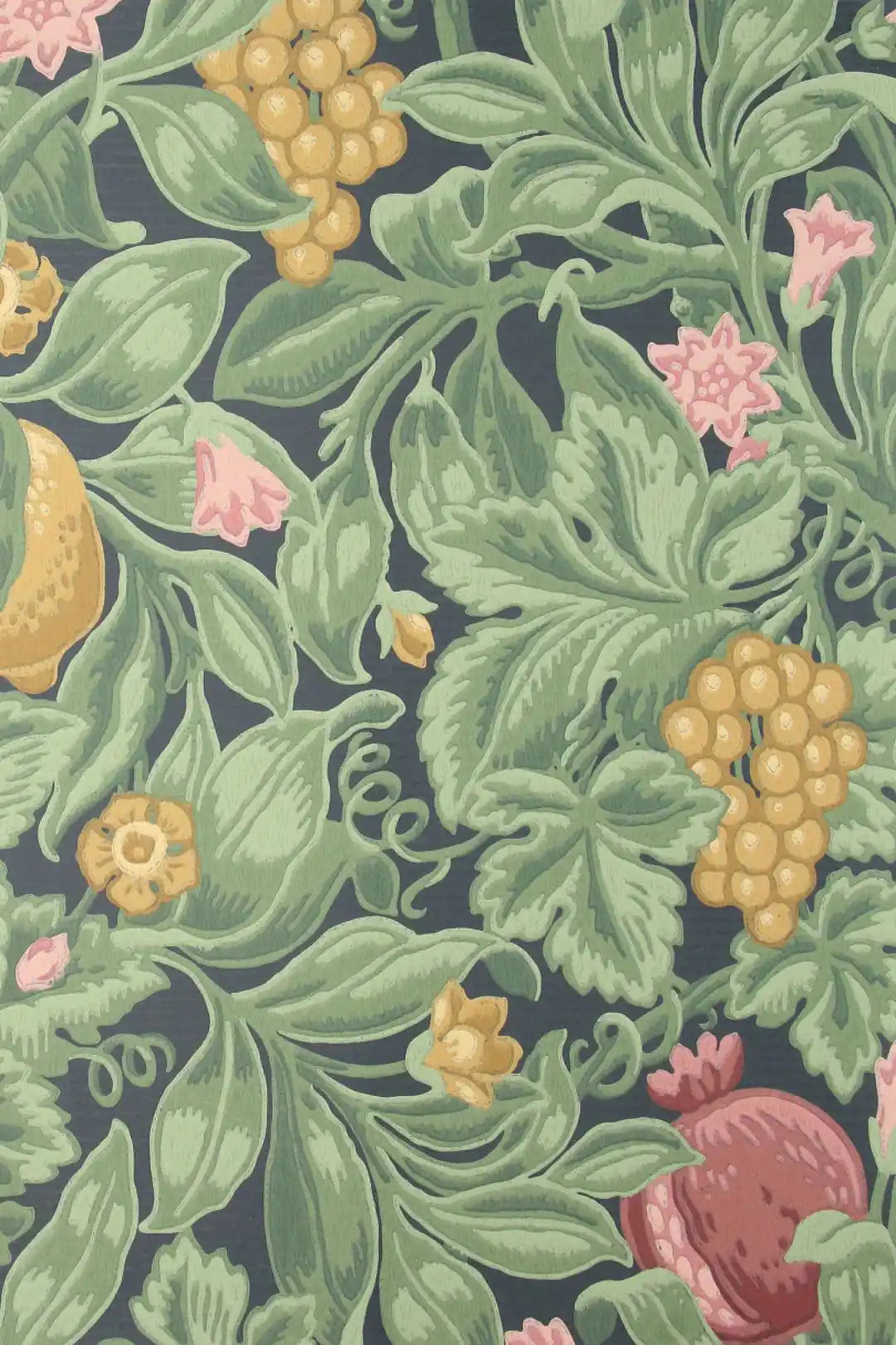 Carta da parati Vines of Pomona Verde Cole & Son