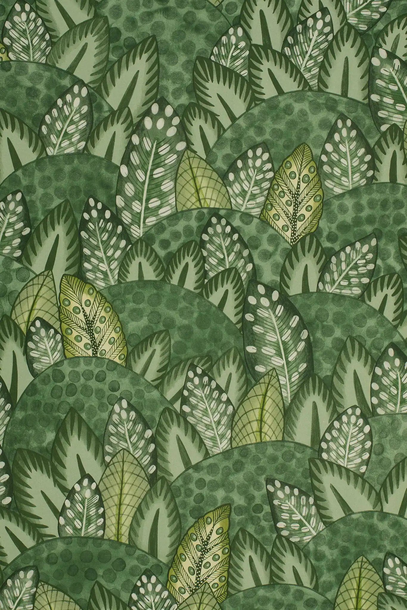 Carta da parati Zulu Terrain Verde Cole & Son