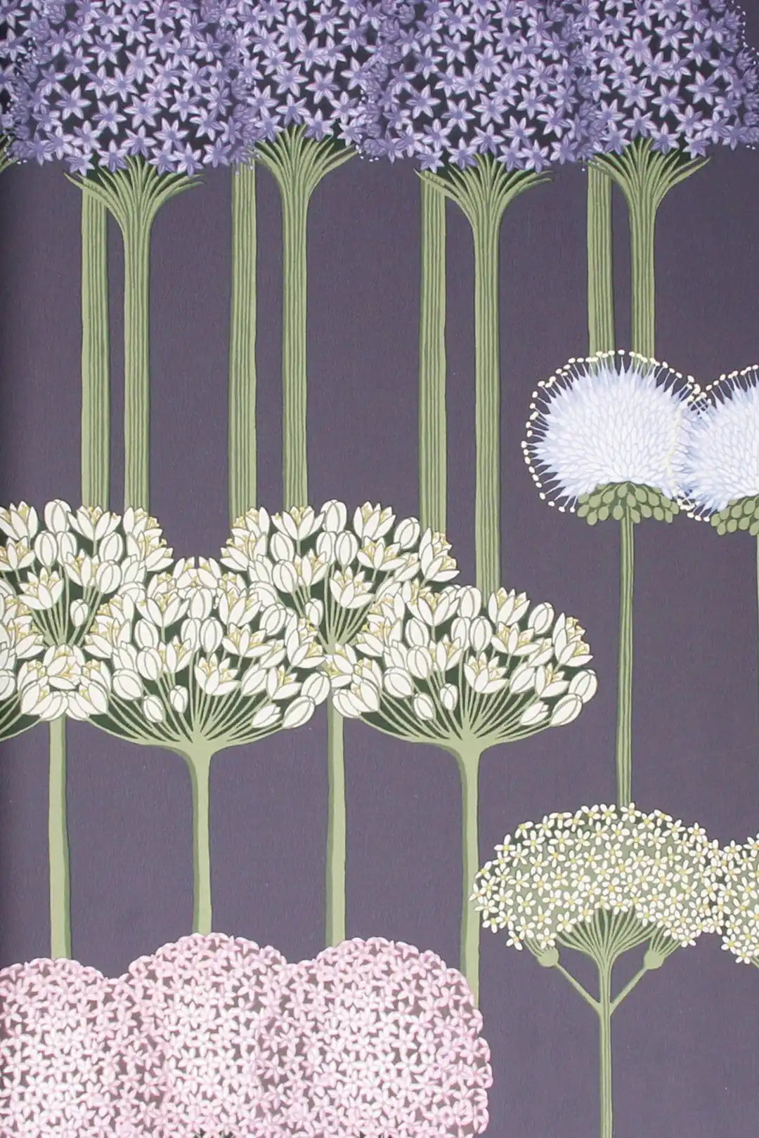 Carta da parati Allium~Alium Viola Cole & Son