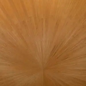 Sunburst