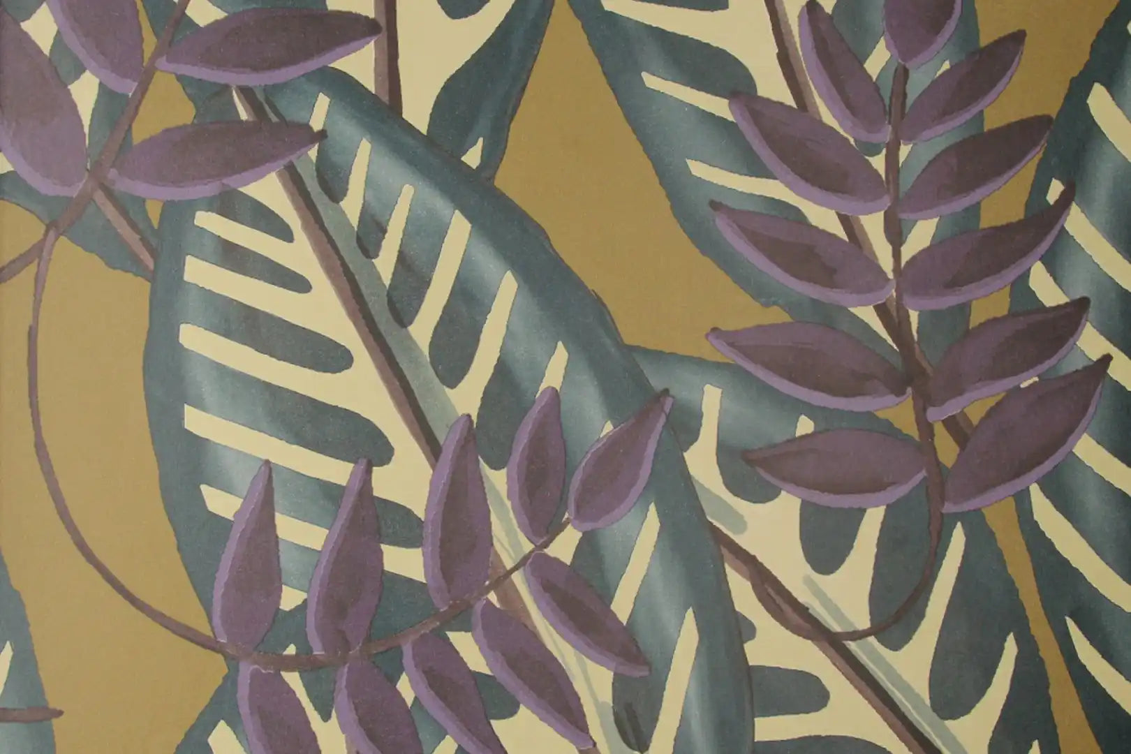 alocasia
