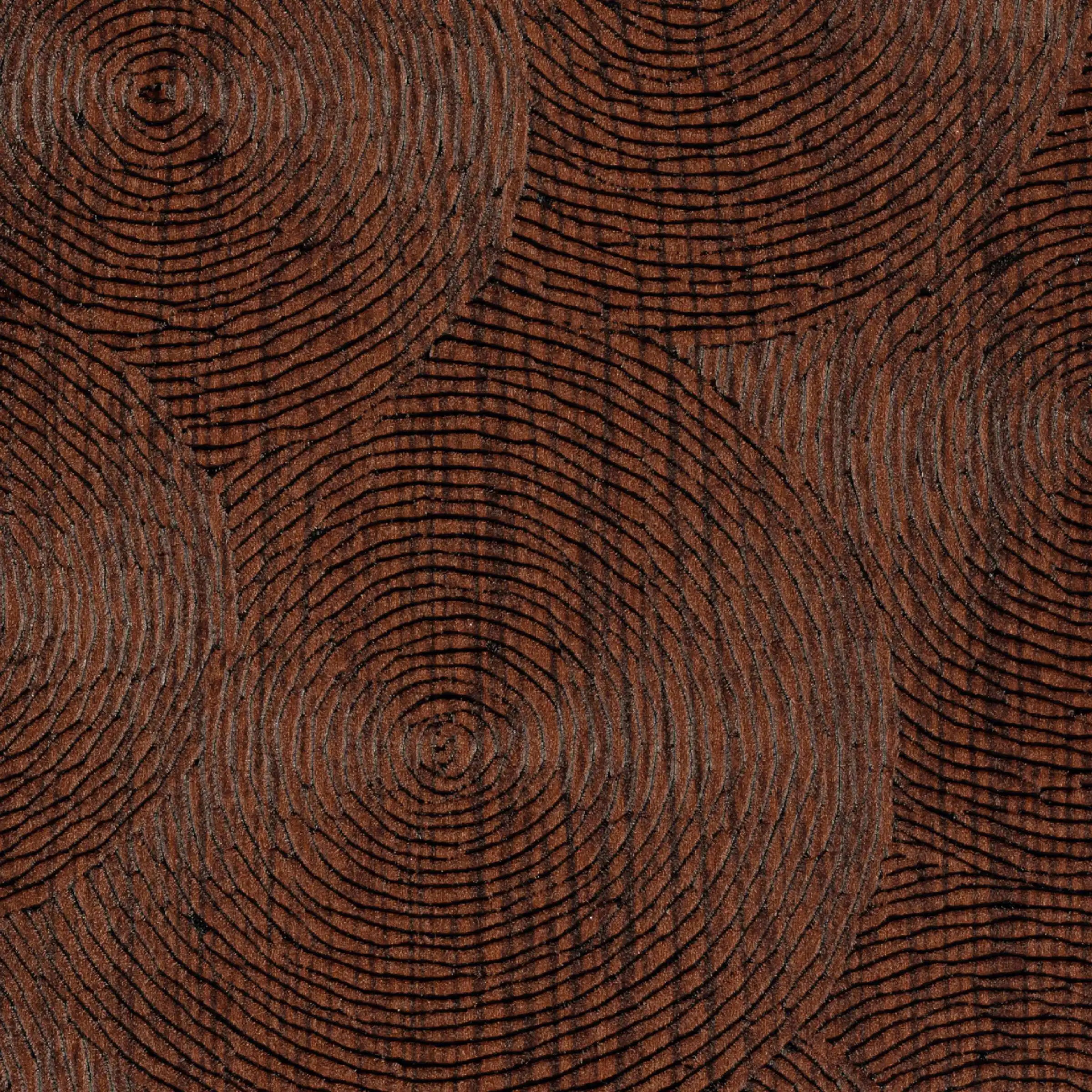 volute