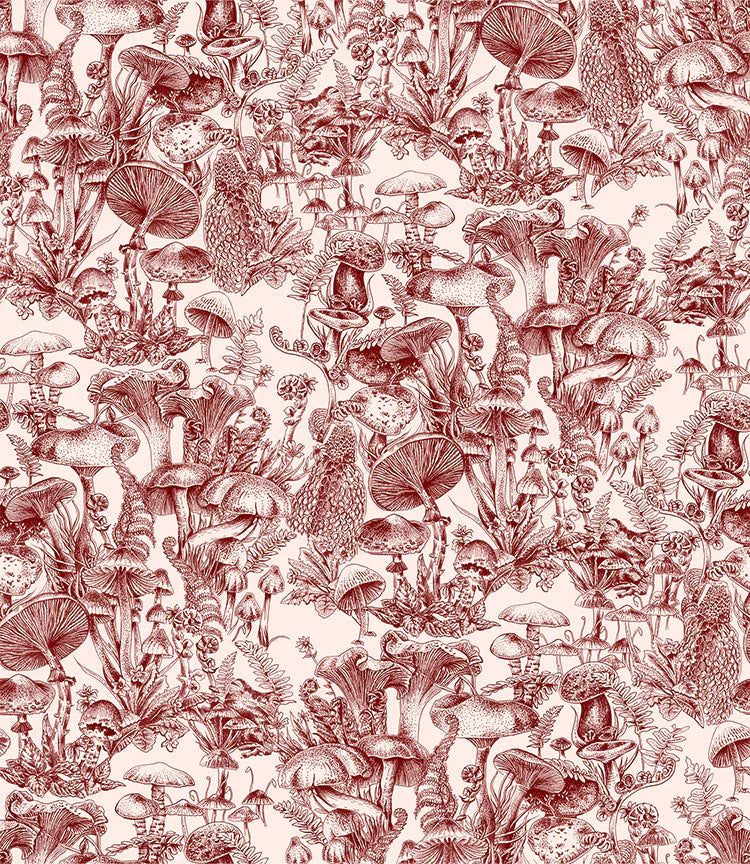 Carta da parati Fungi Forest Burgundy Cole & Son