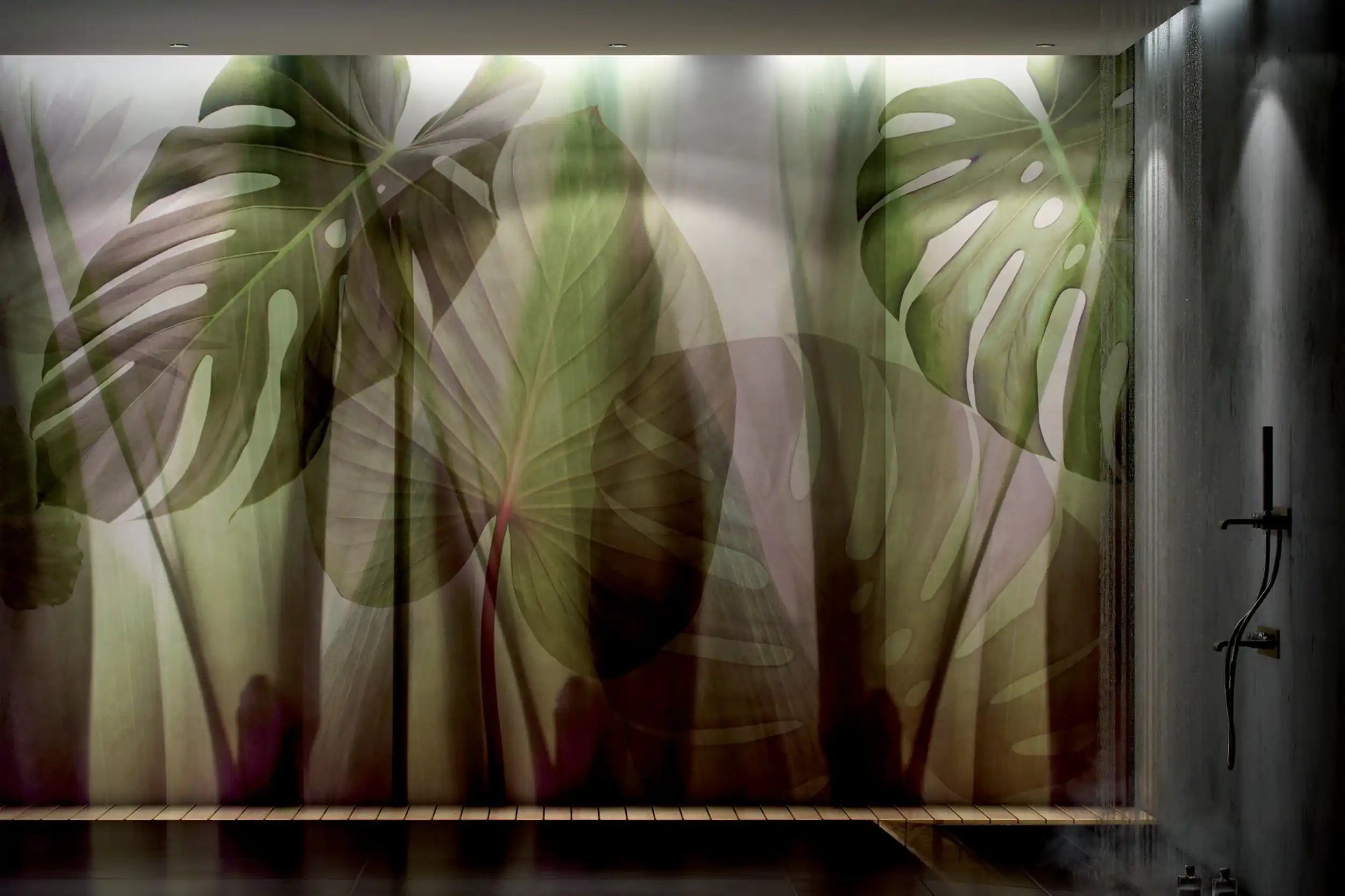 equatorial jungle
