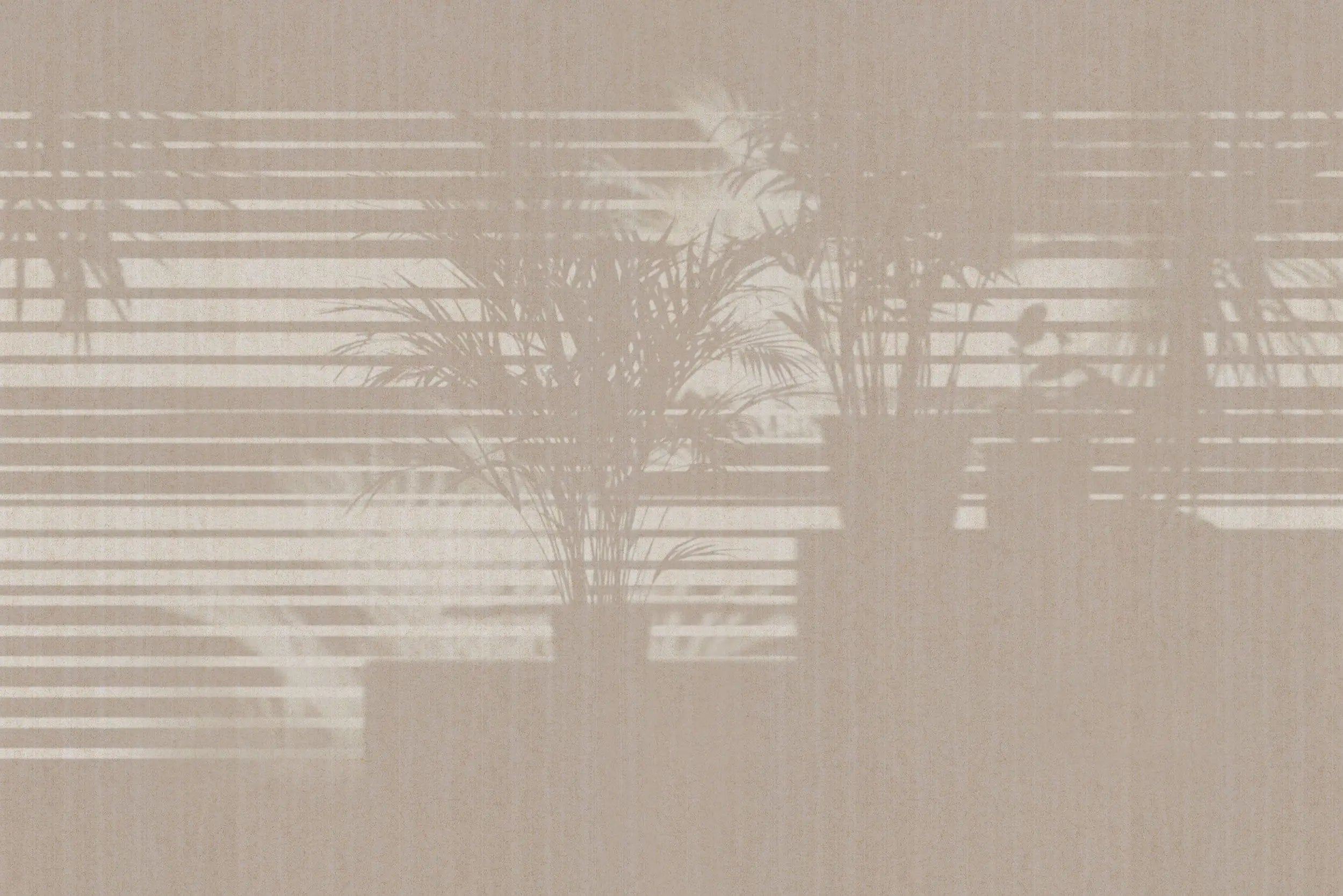 glampure - morning light unico