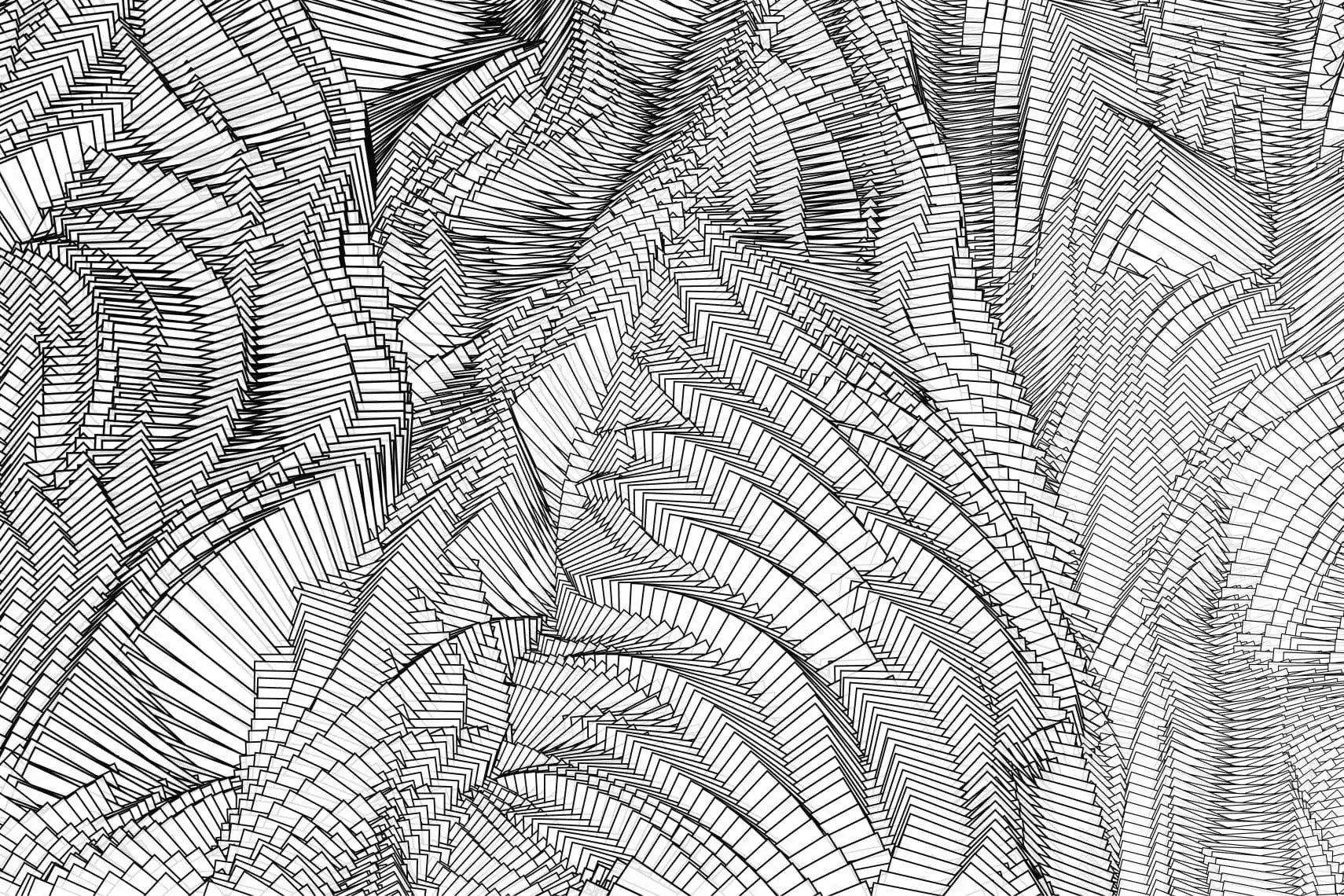 zebra by holger lippmann unico