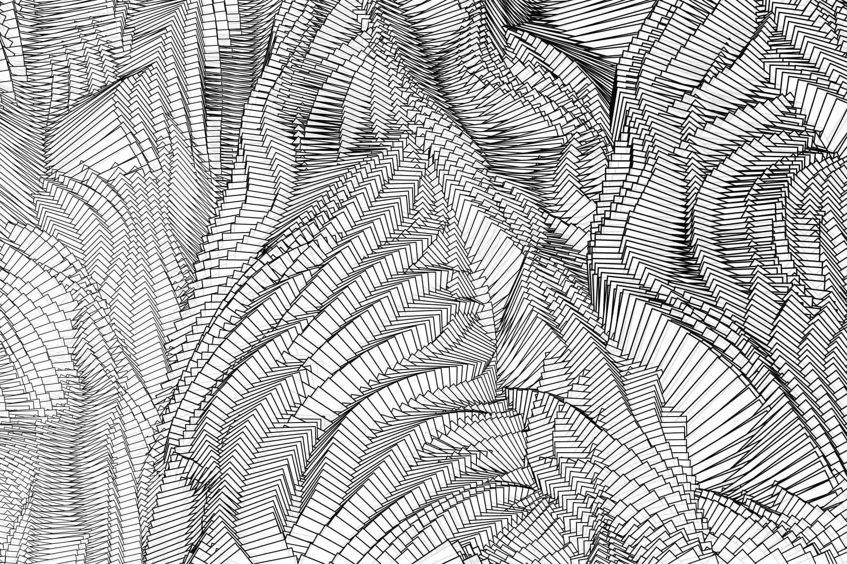 zebra by holger lippmann