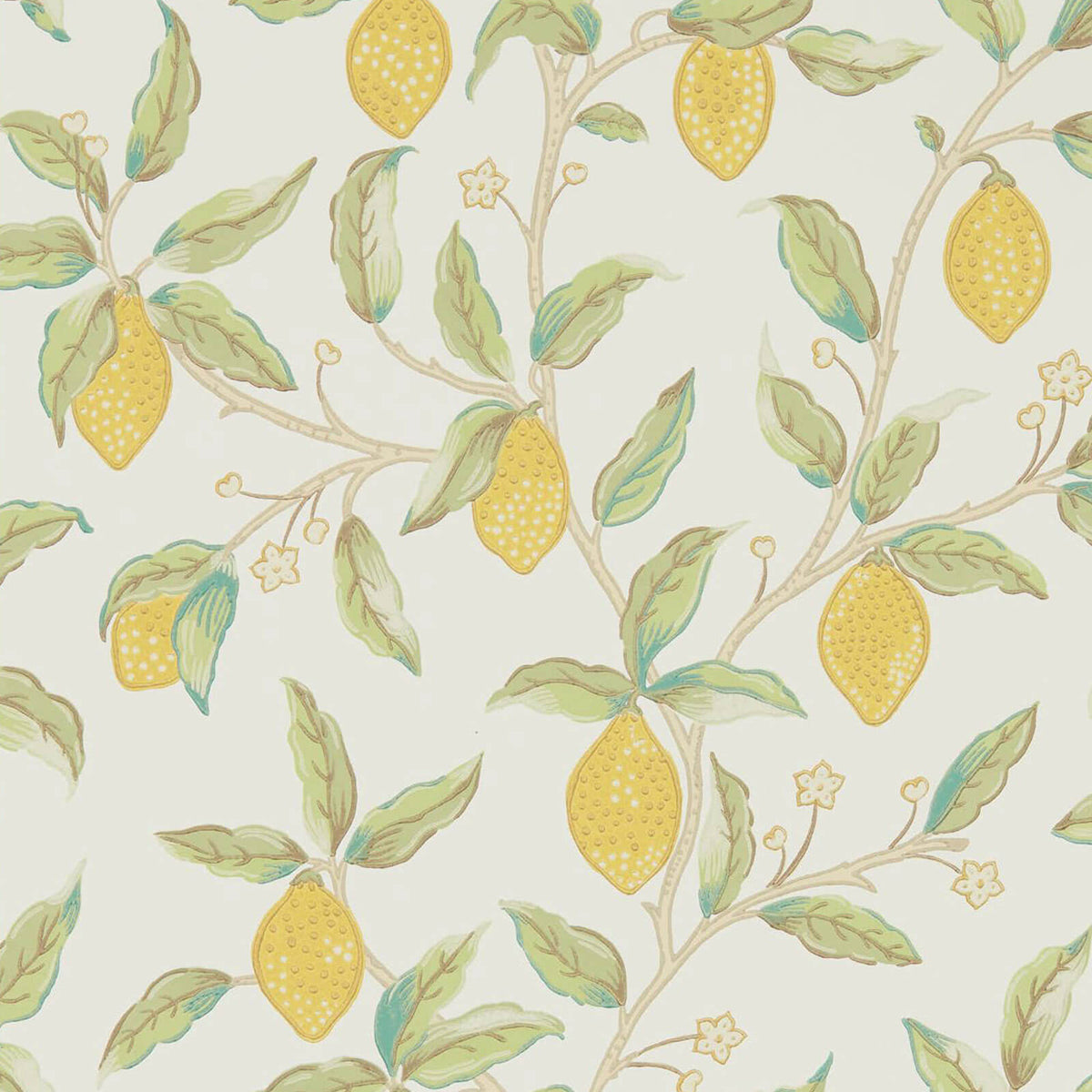 Lemon Tree