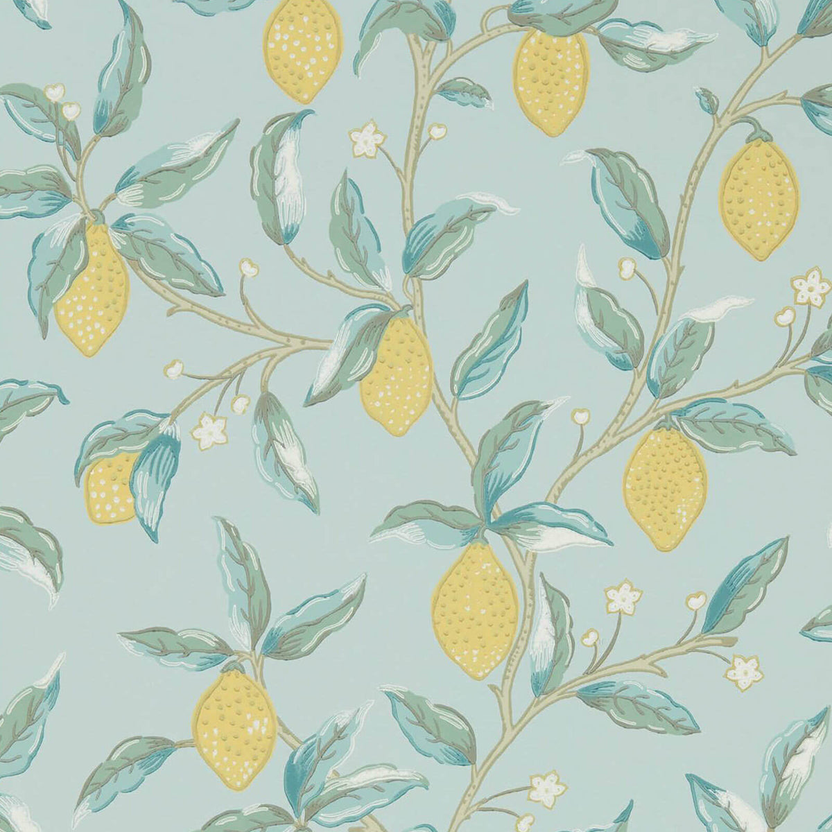 Lemon Tree