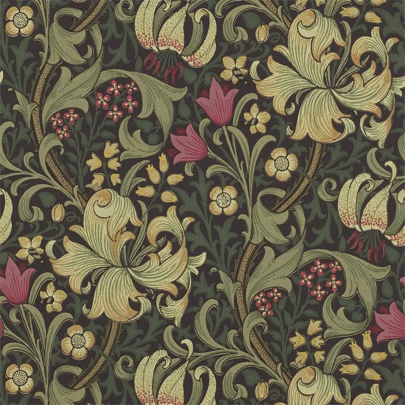 golden lily charcoal/olive