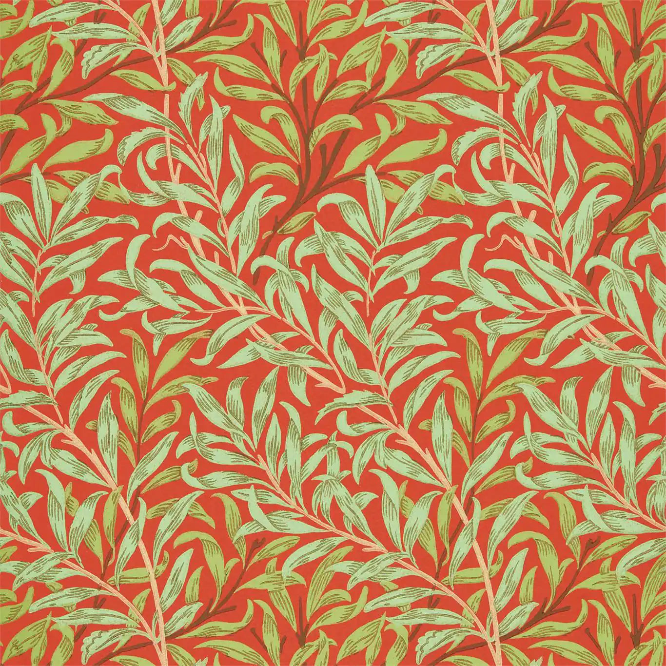 willow boughs tomato/olive