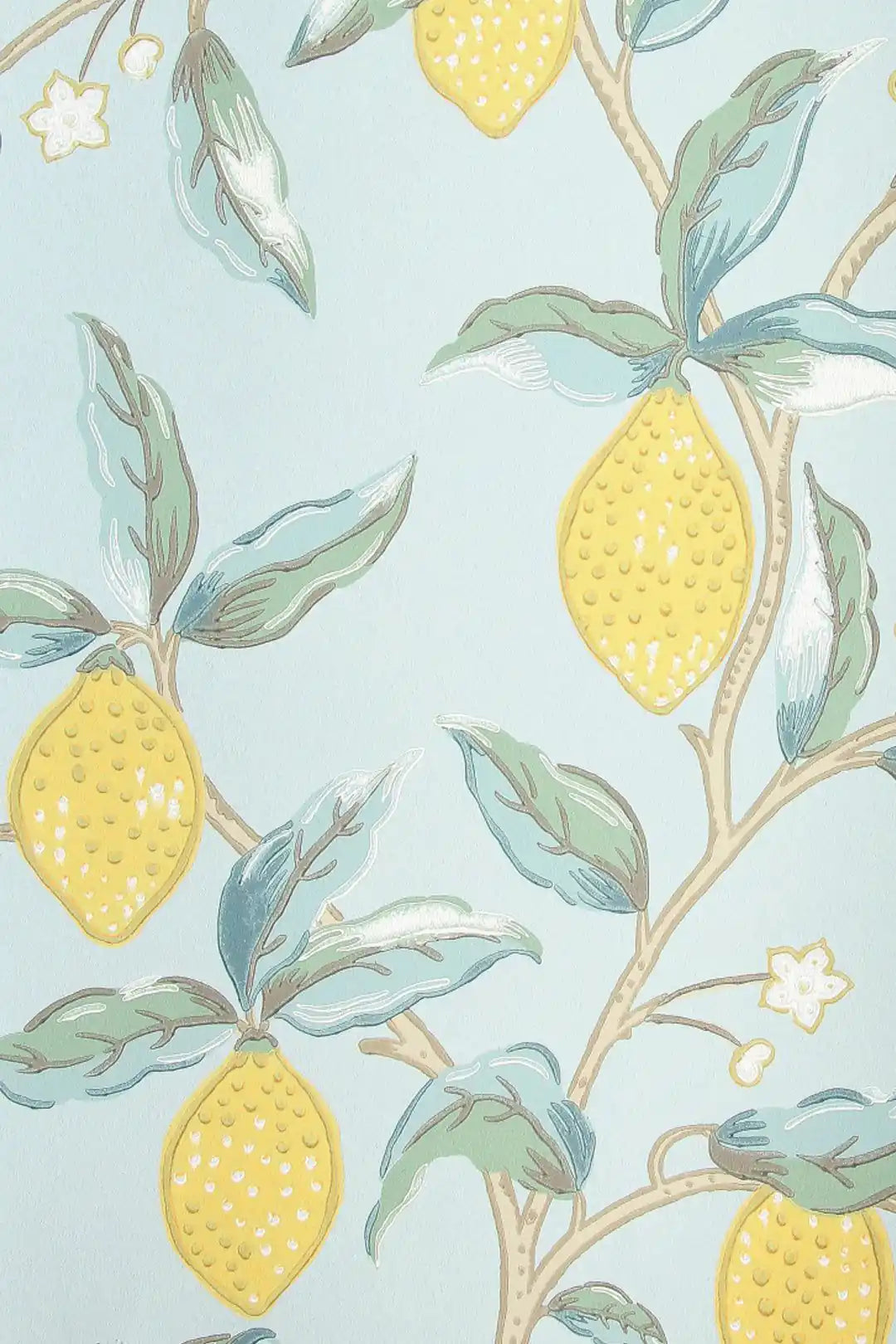 lemon tree wedgewood