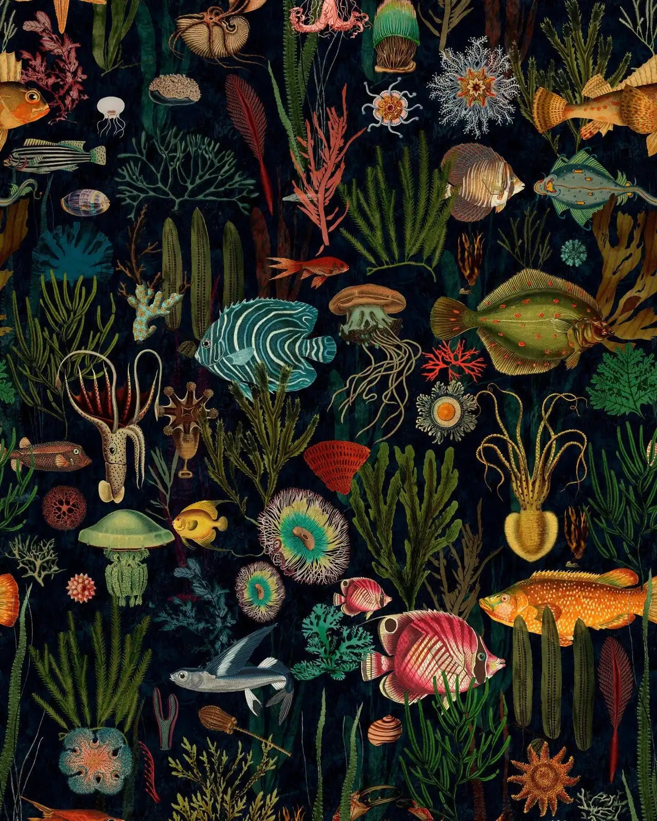 Carta da Parati Oceania