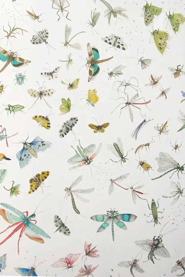 la serre aux papillon bianco